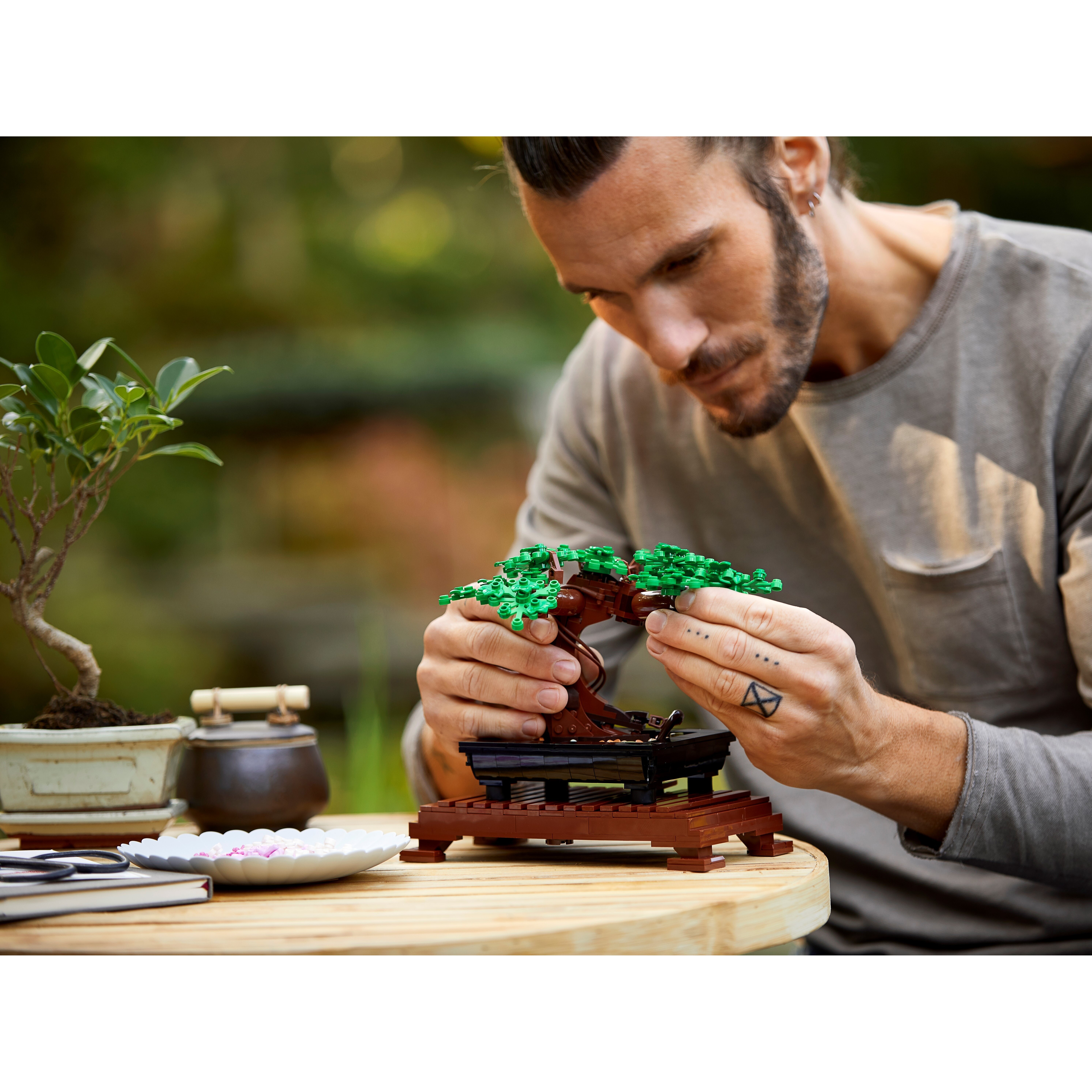 Bonsai Tree - Image 11