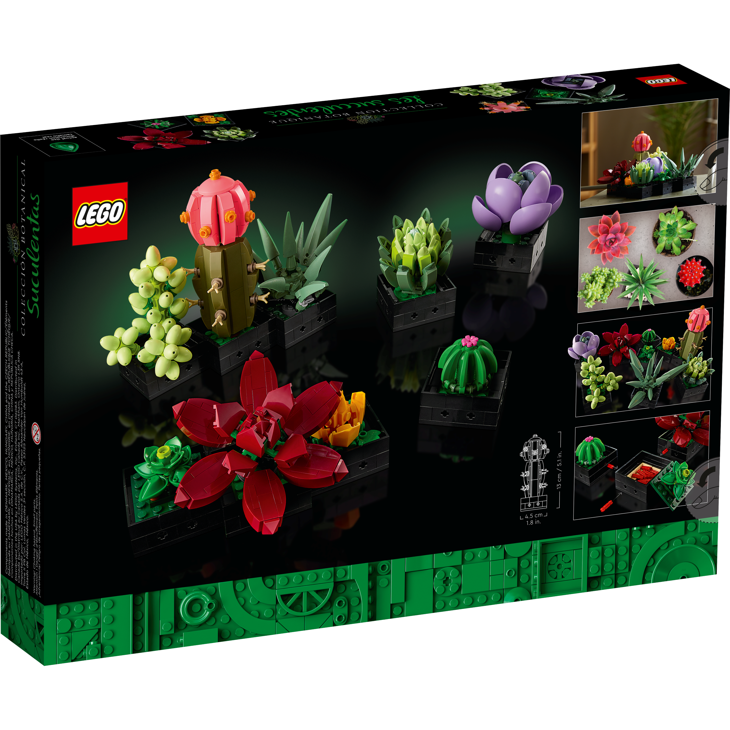 Succulents - Image 9