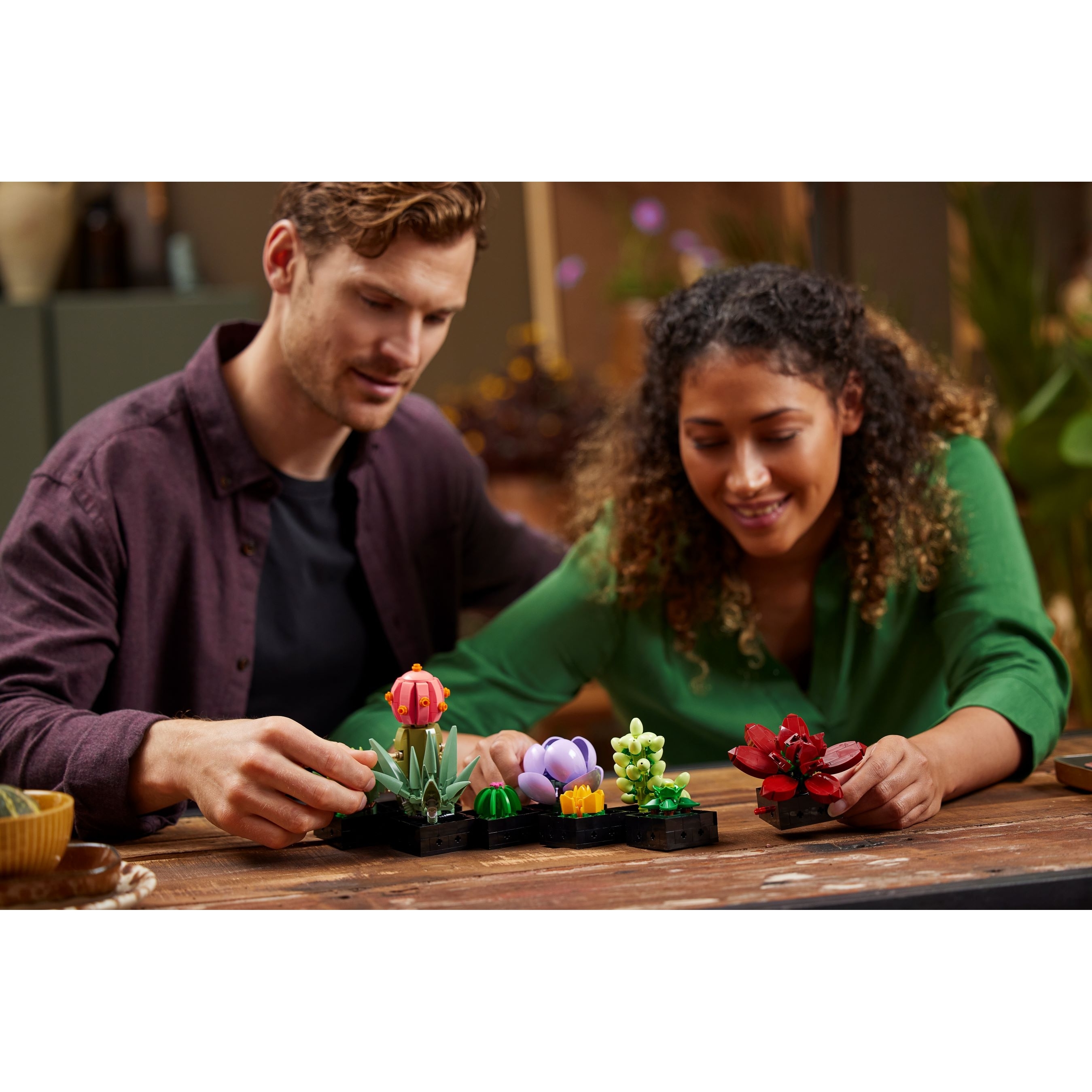 Succulents - Image 10