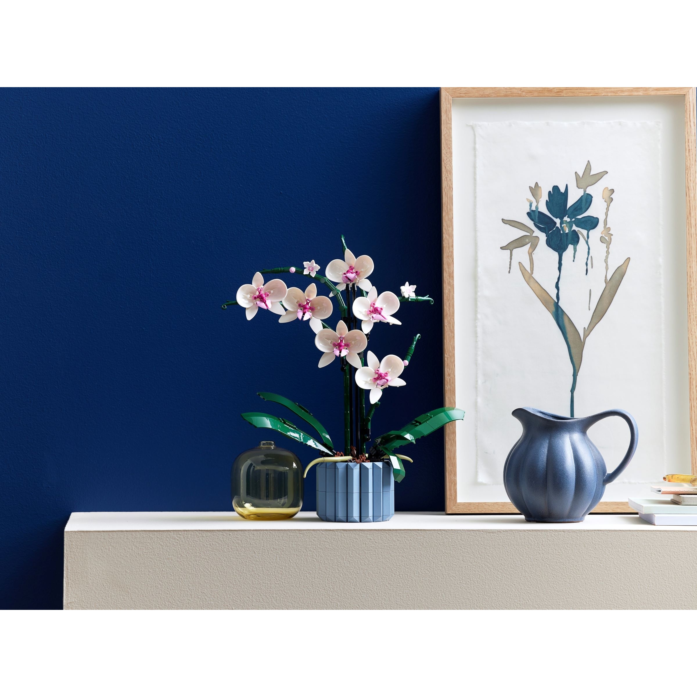 Orchid - Image 3
