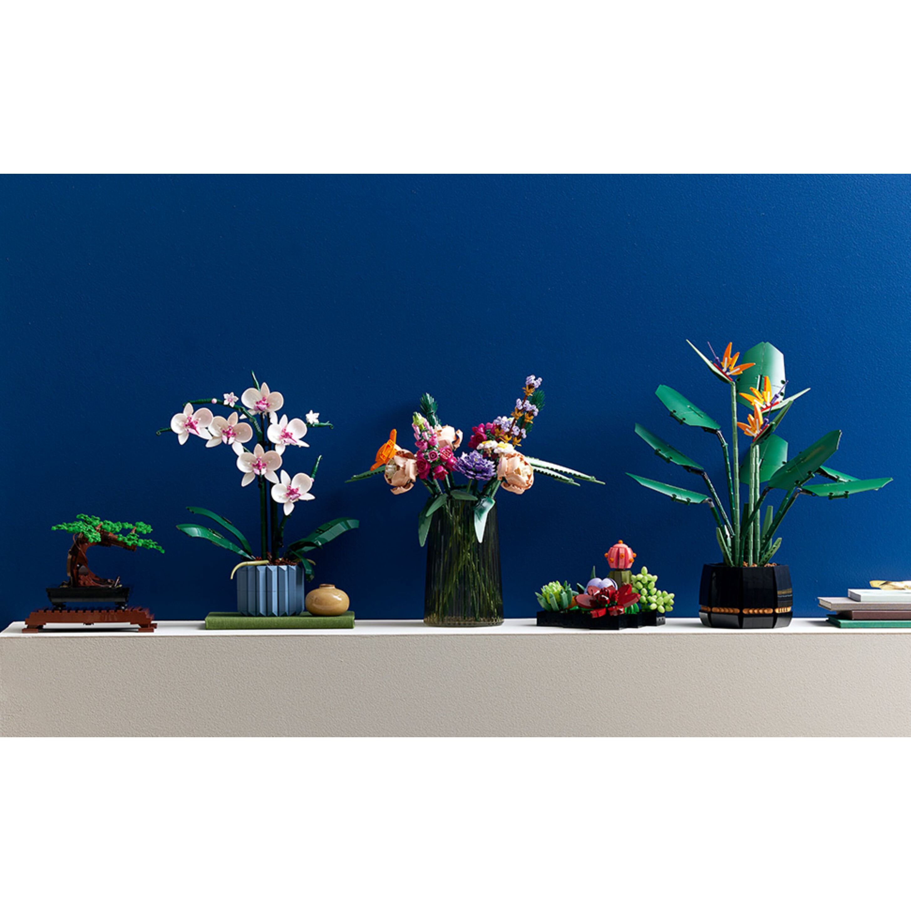 Orchid - Image 4