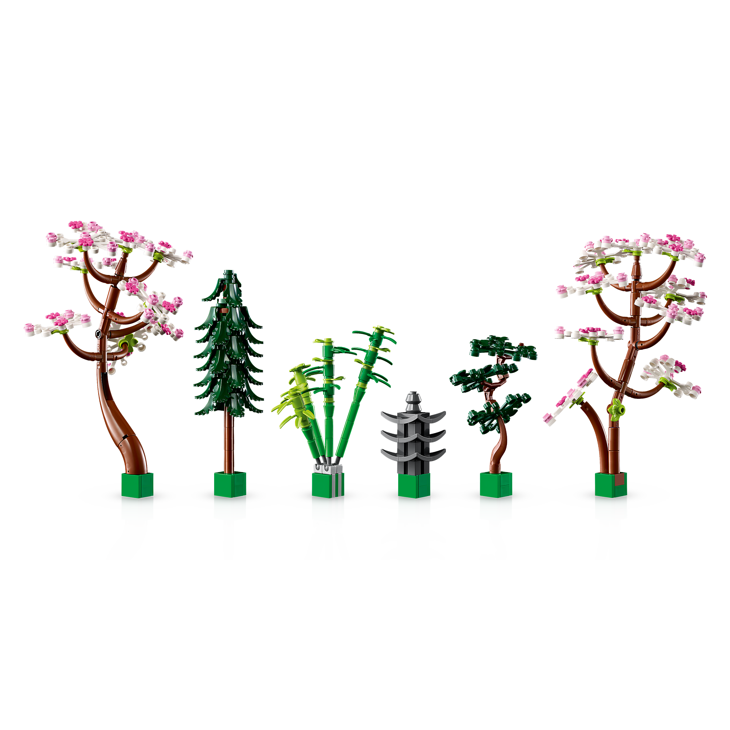 Tranquil Garden - Image 5