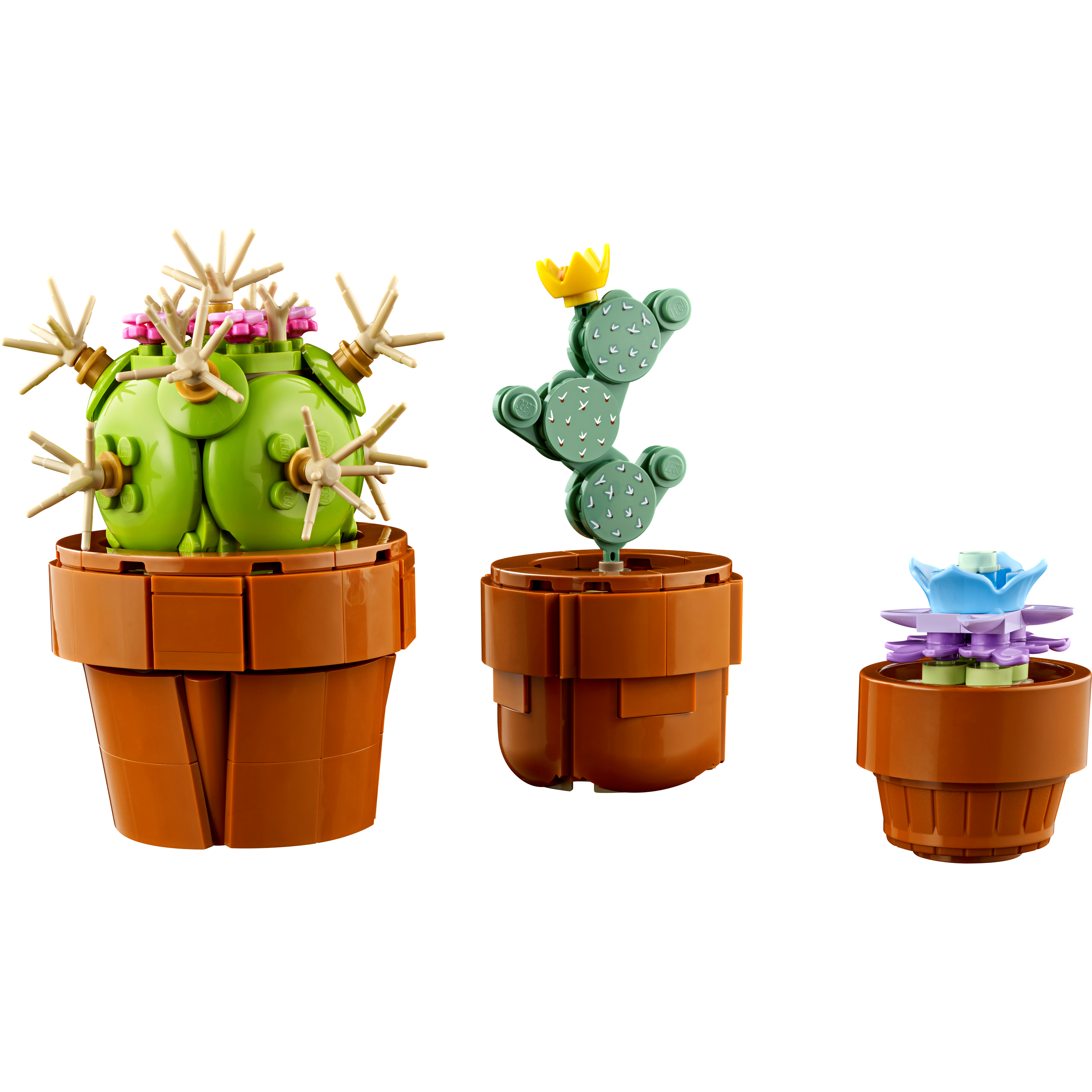 Tiny Plants - Image 4