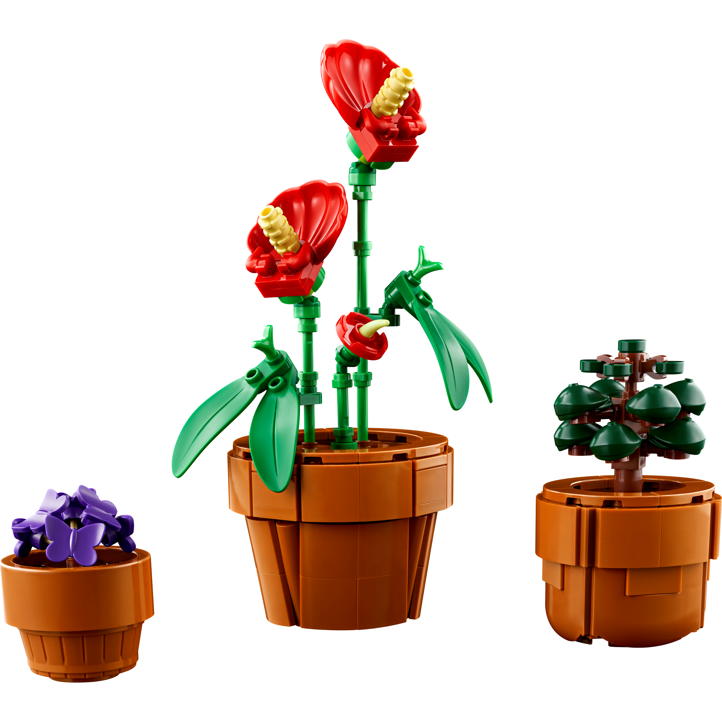Tiny Plants - Image 5