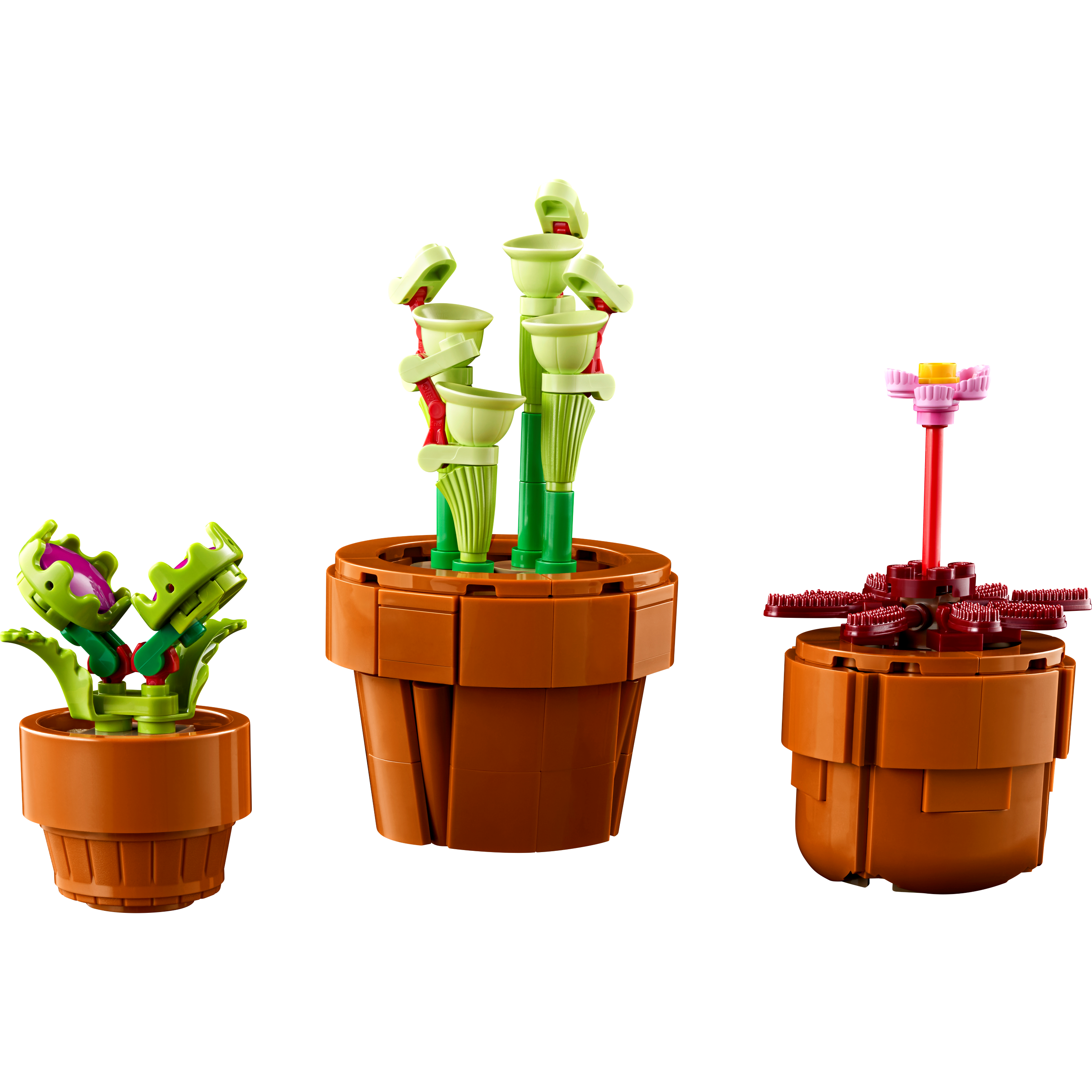 Tiny Plants - Image 6
