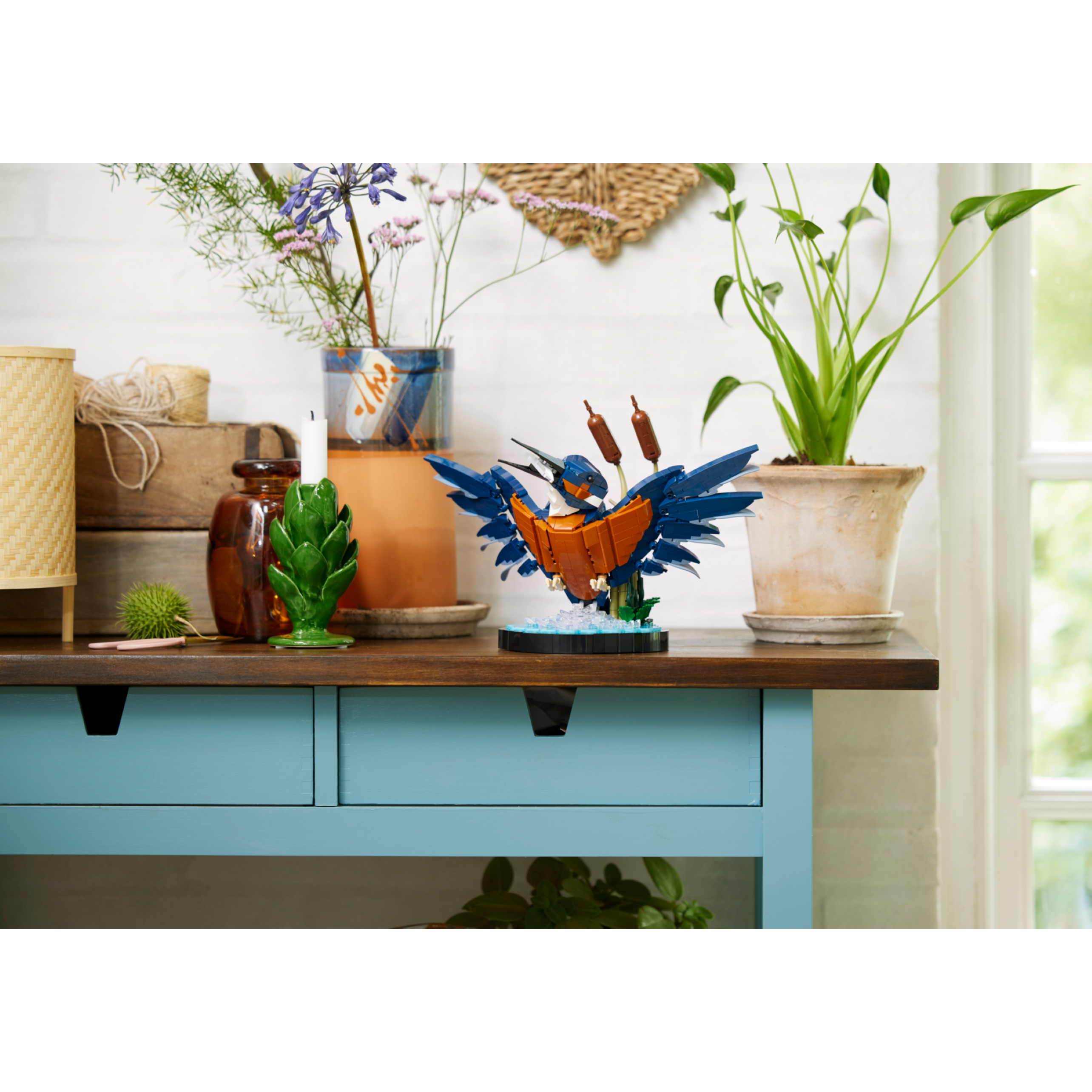 Kingfisher Bird - Image 8