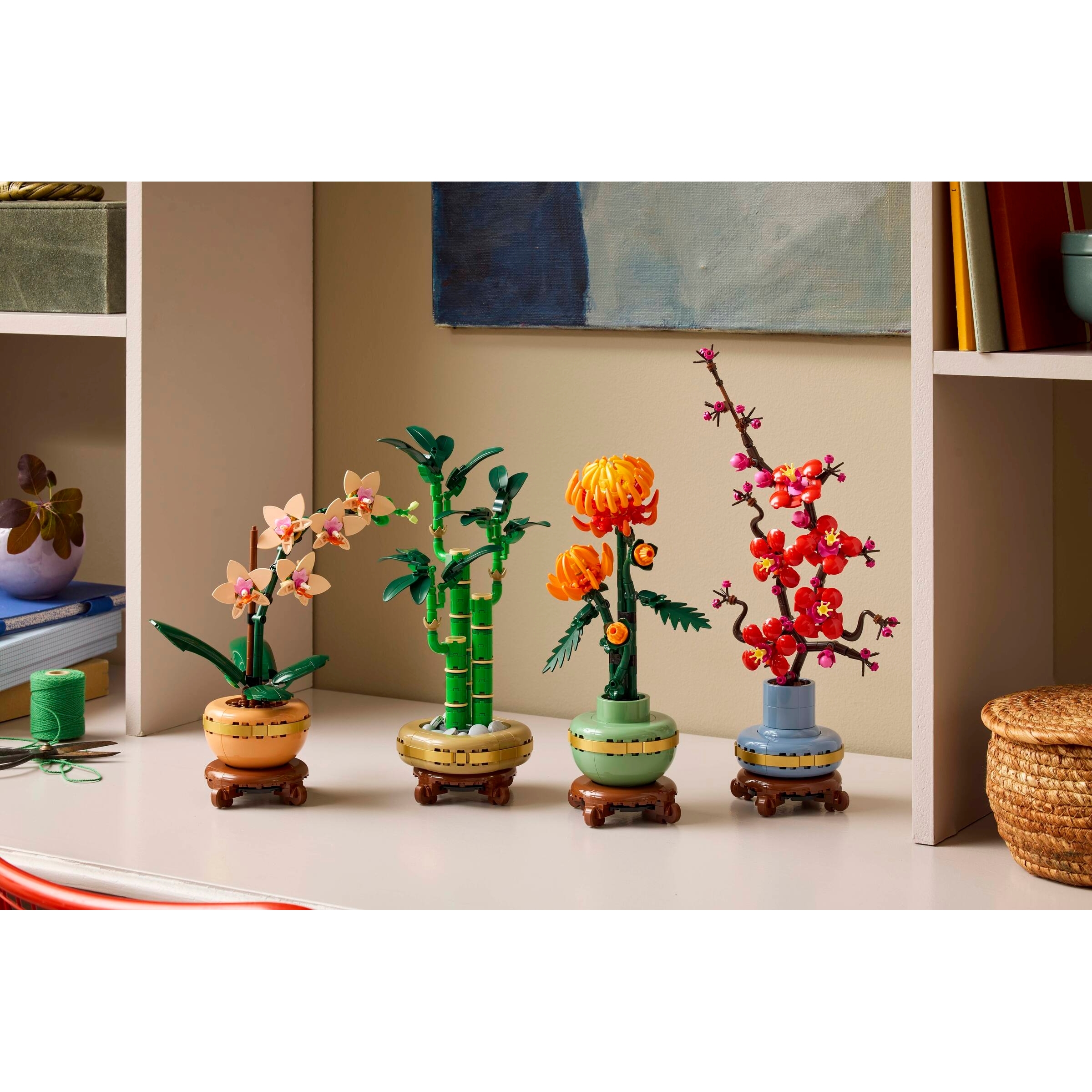 Lucky Bamboo - Image 5