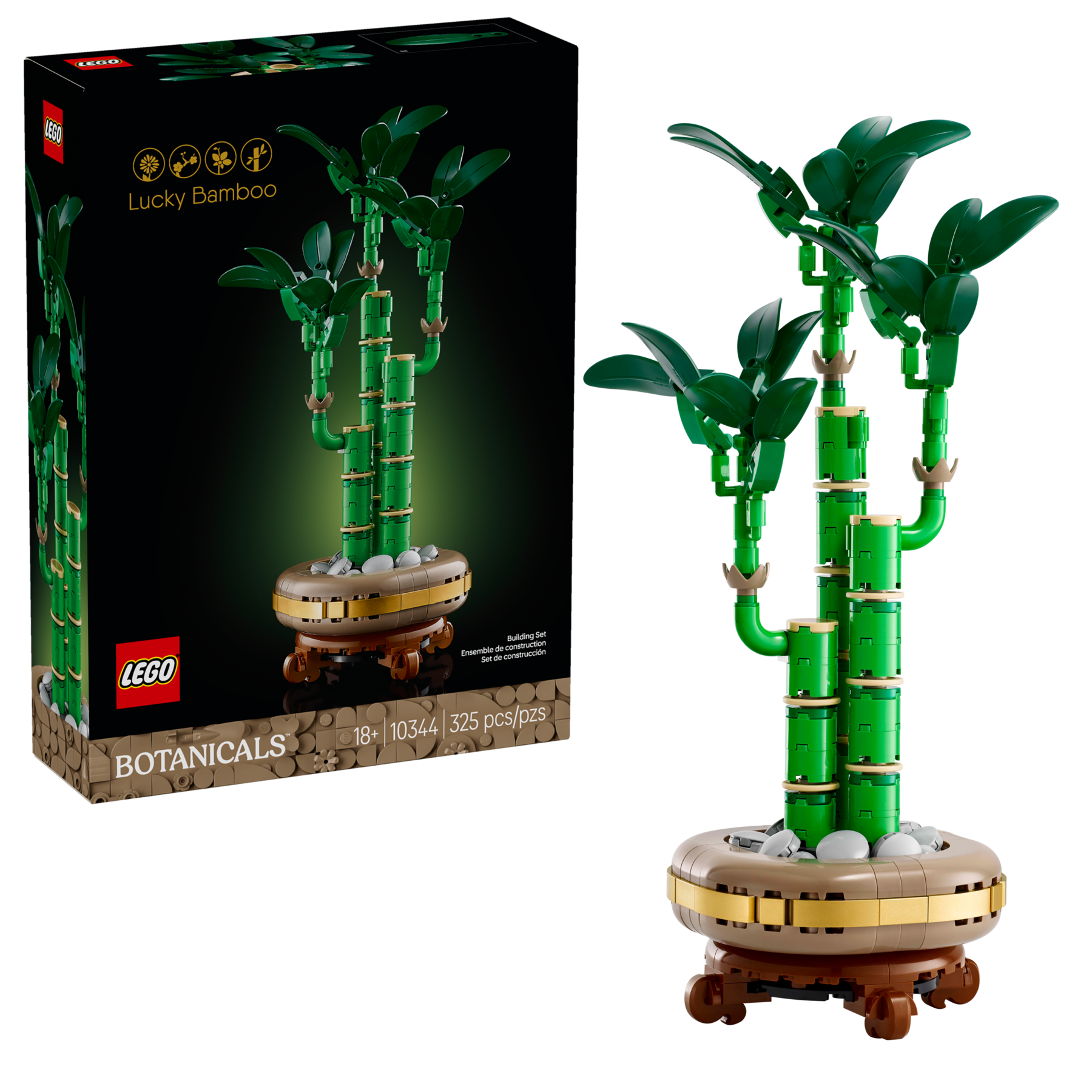 Lucky Bamboo - Image 2