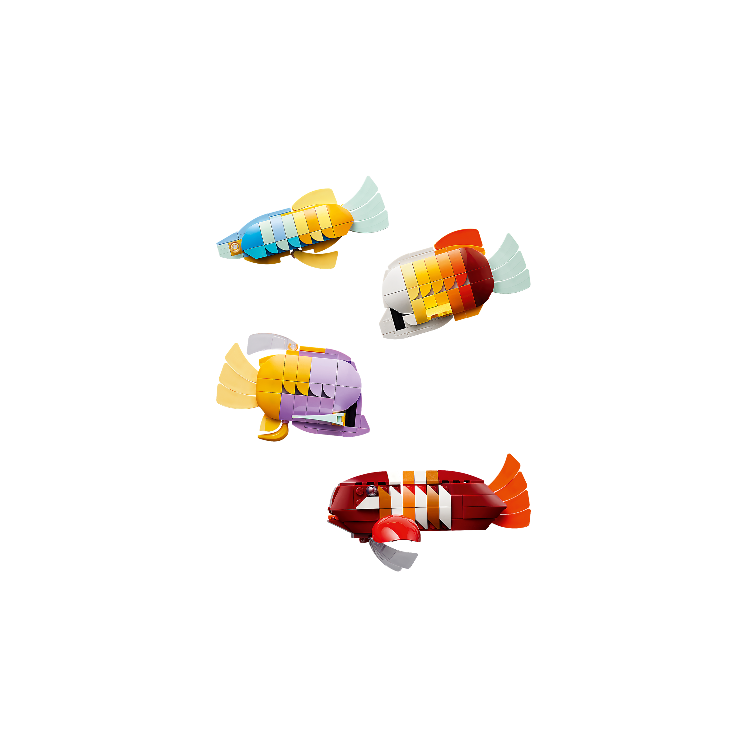 Tropical Aquarium - Image 6