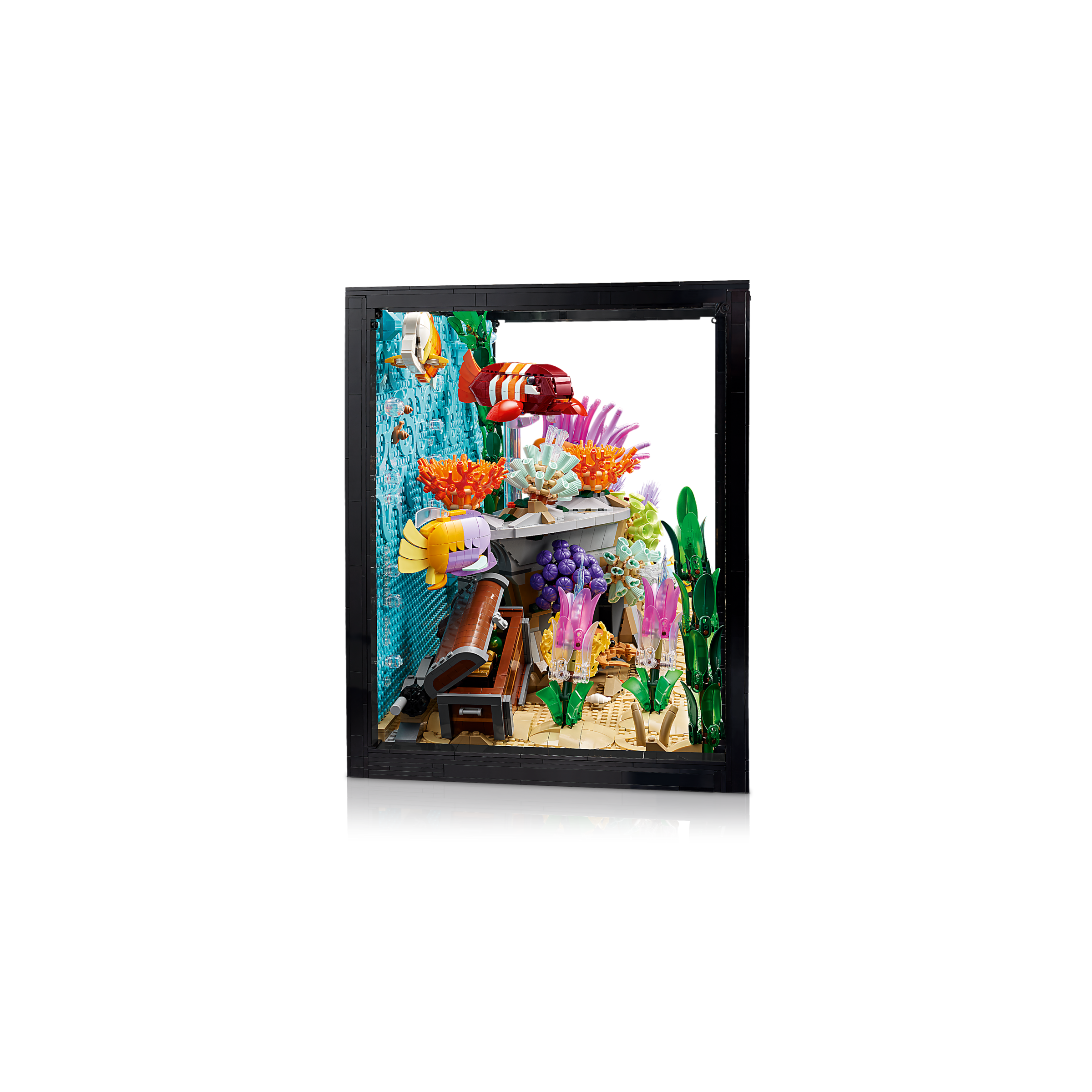 Tropical Aquarium - Image 4