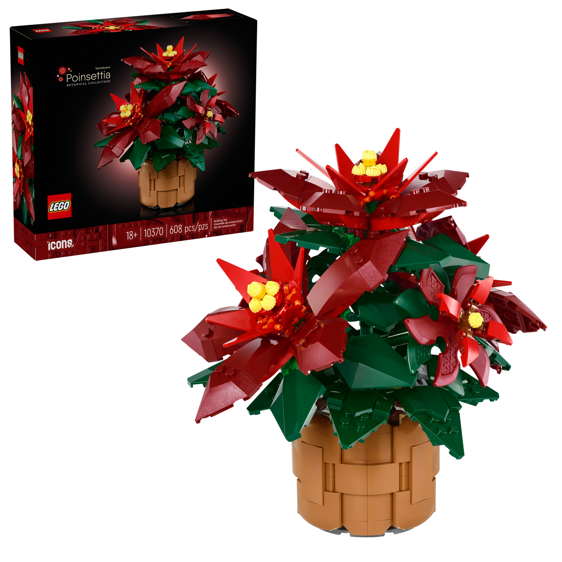 Poinsettia - Image 2