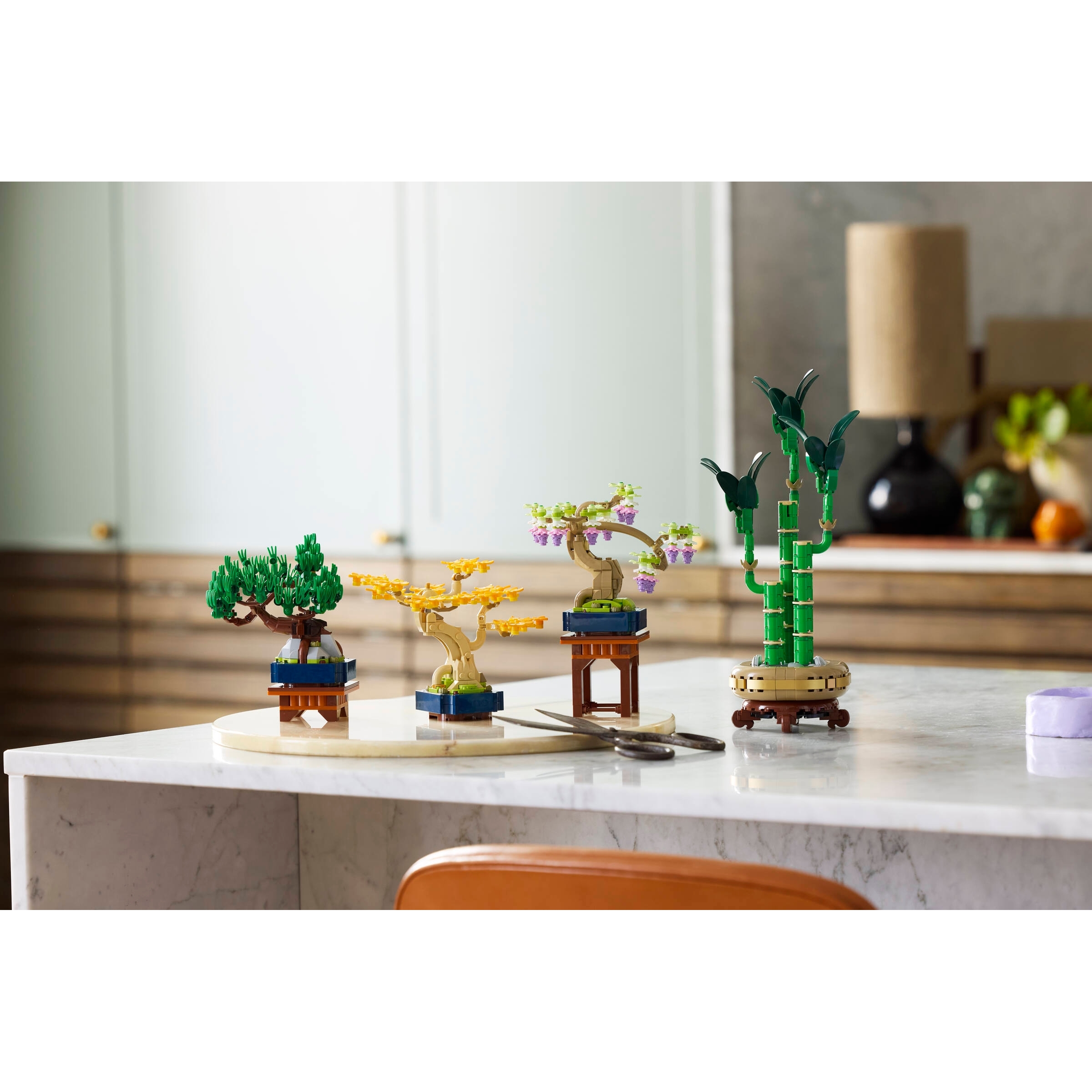 Mini Bonsai Trees - Image 13