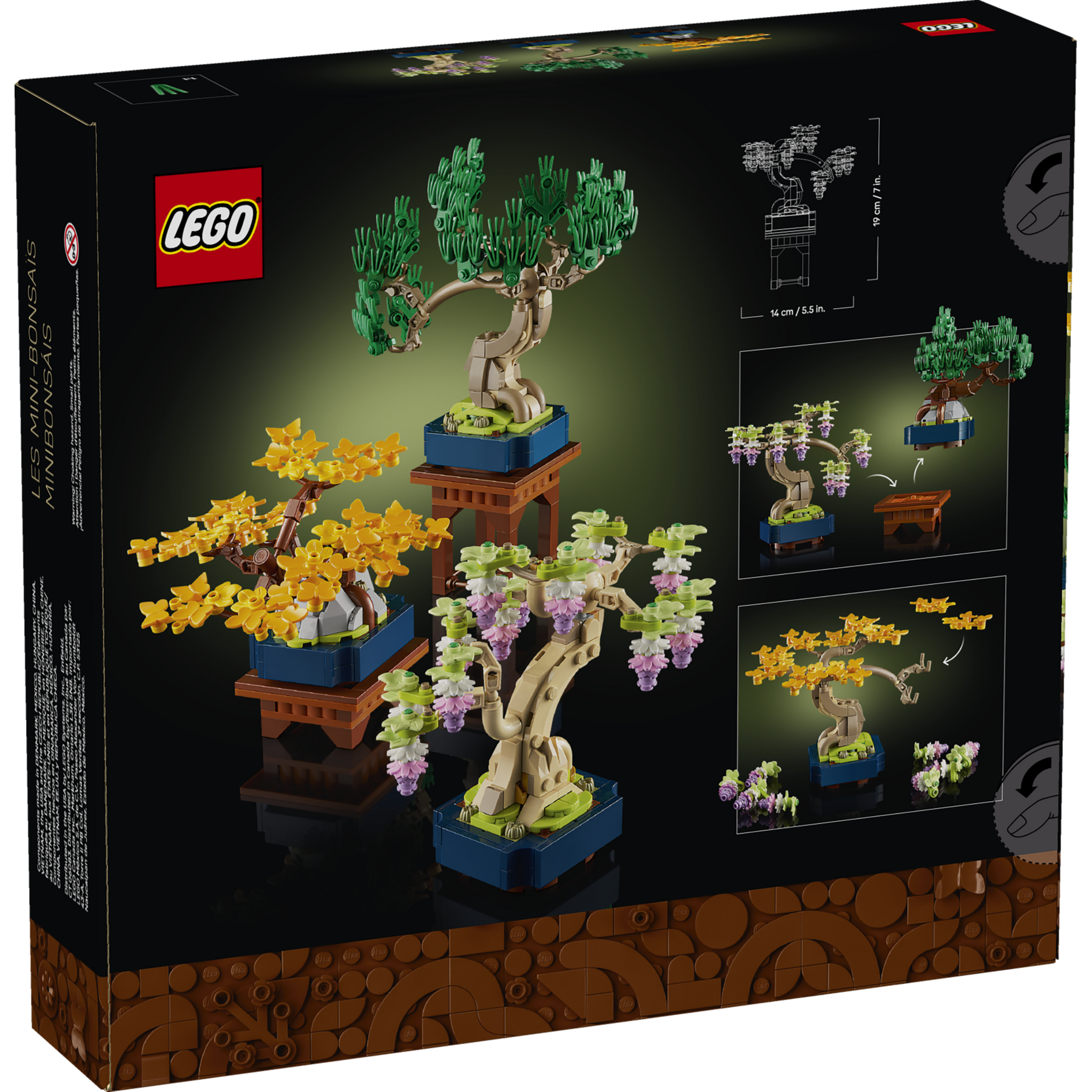 Mini Bonsai Trees - Image 15