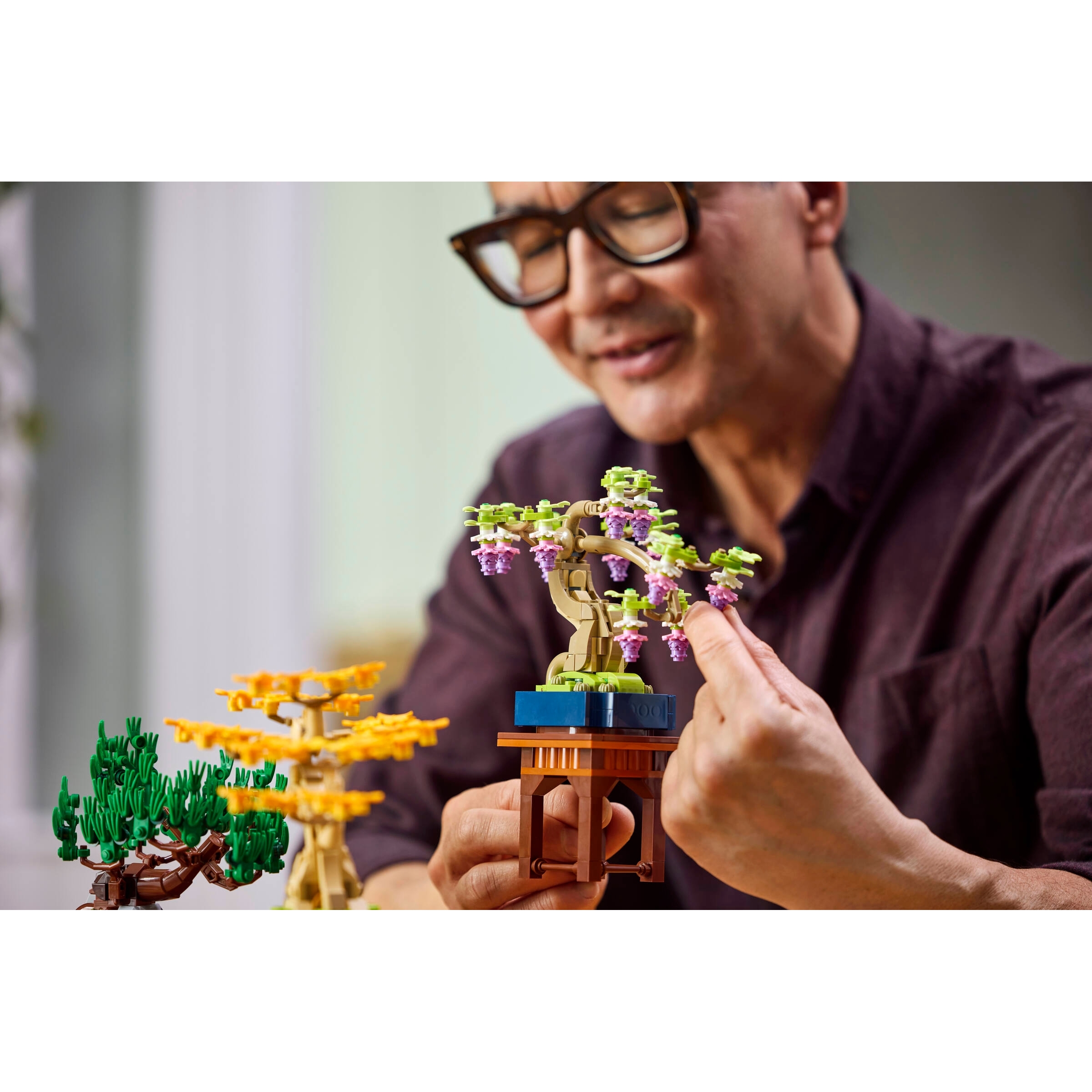 Mini Bonsai Trees - Image 11