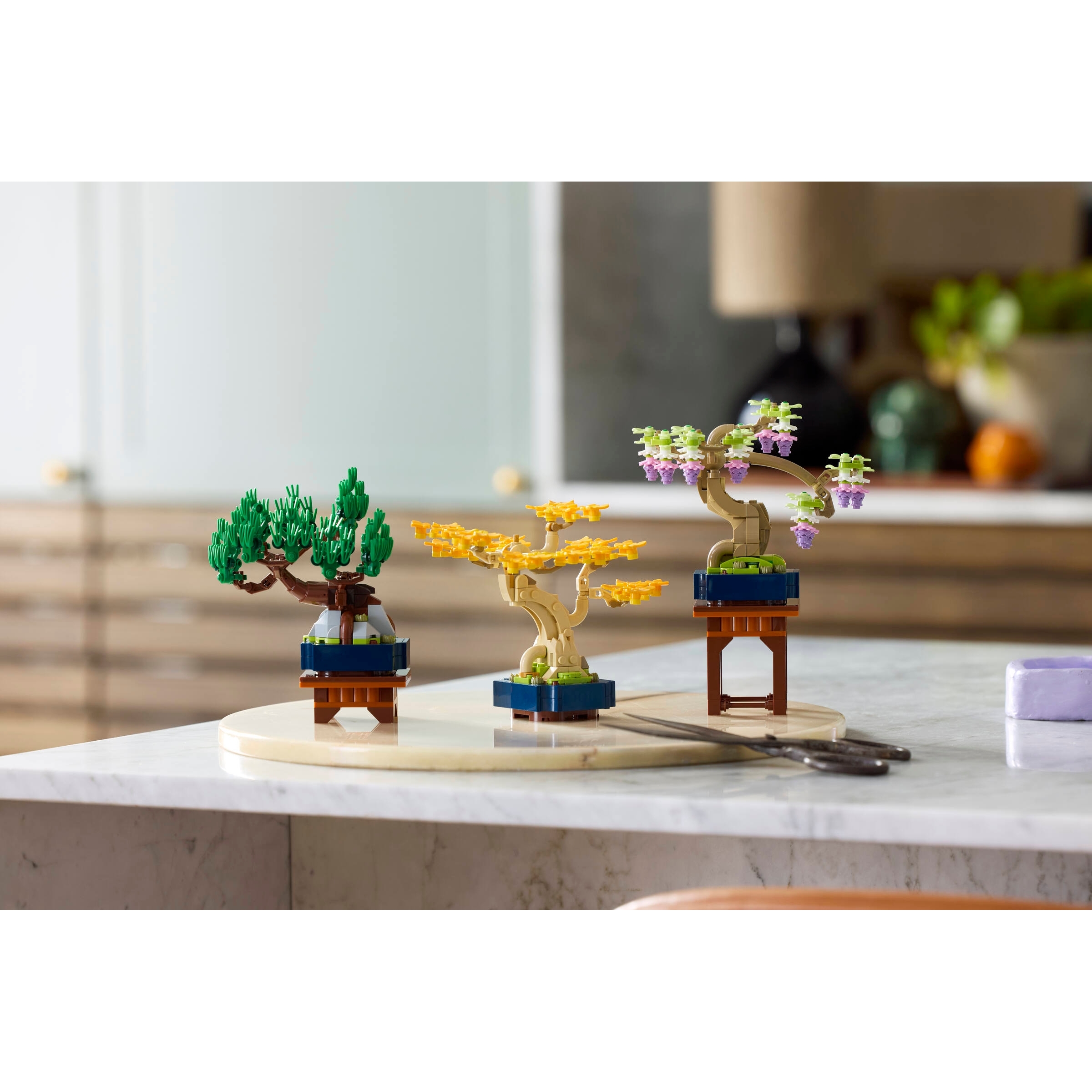 Mini Bonsai Trees - Image 5