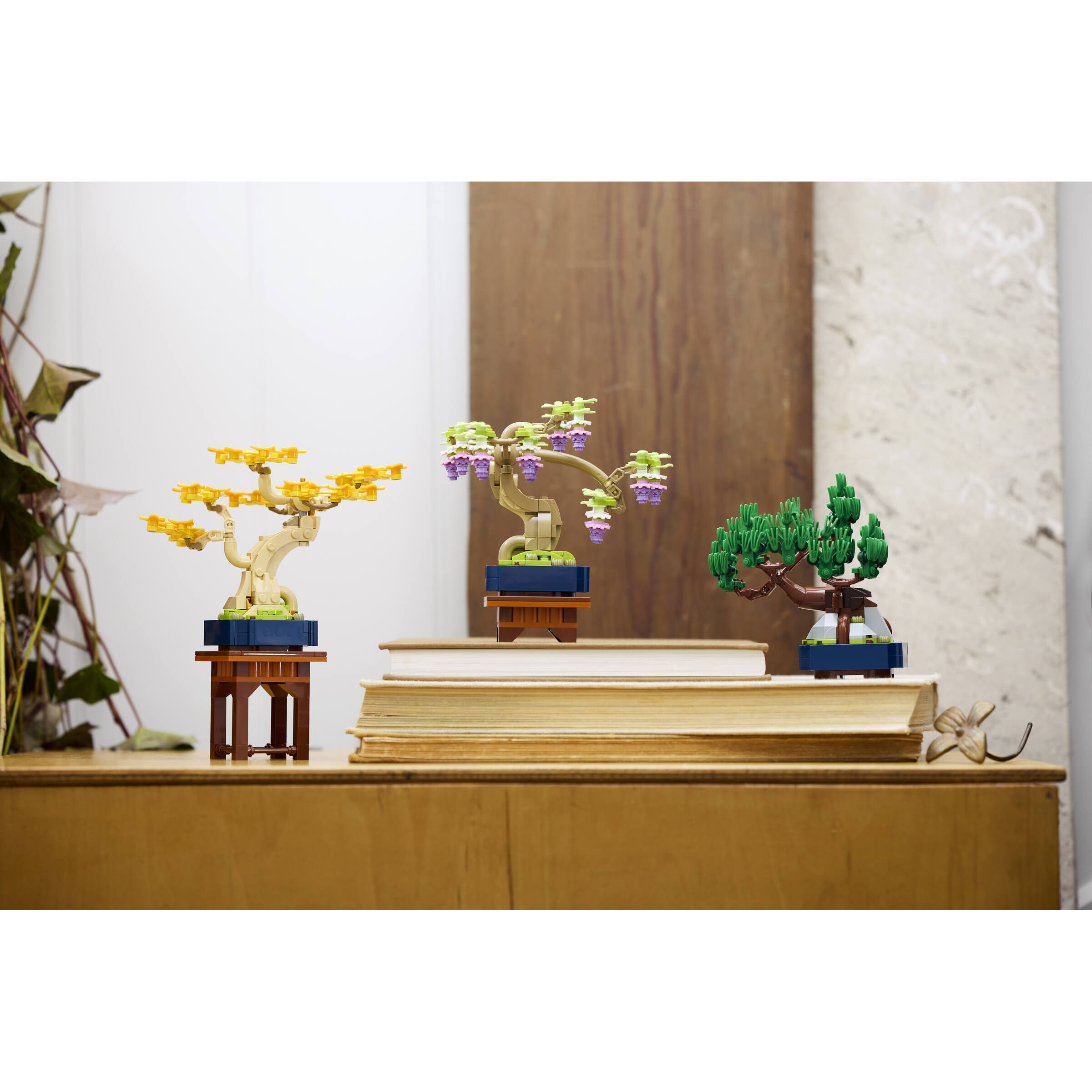 Mini Bonsai Trees - Image 3