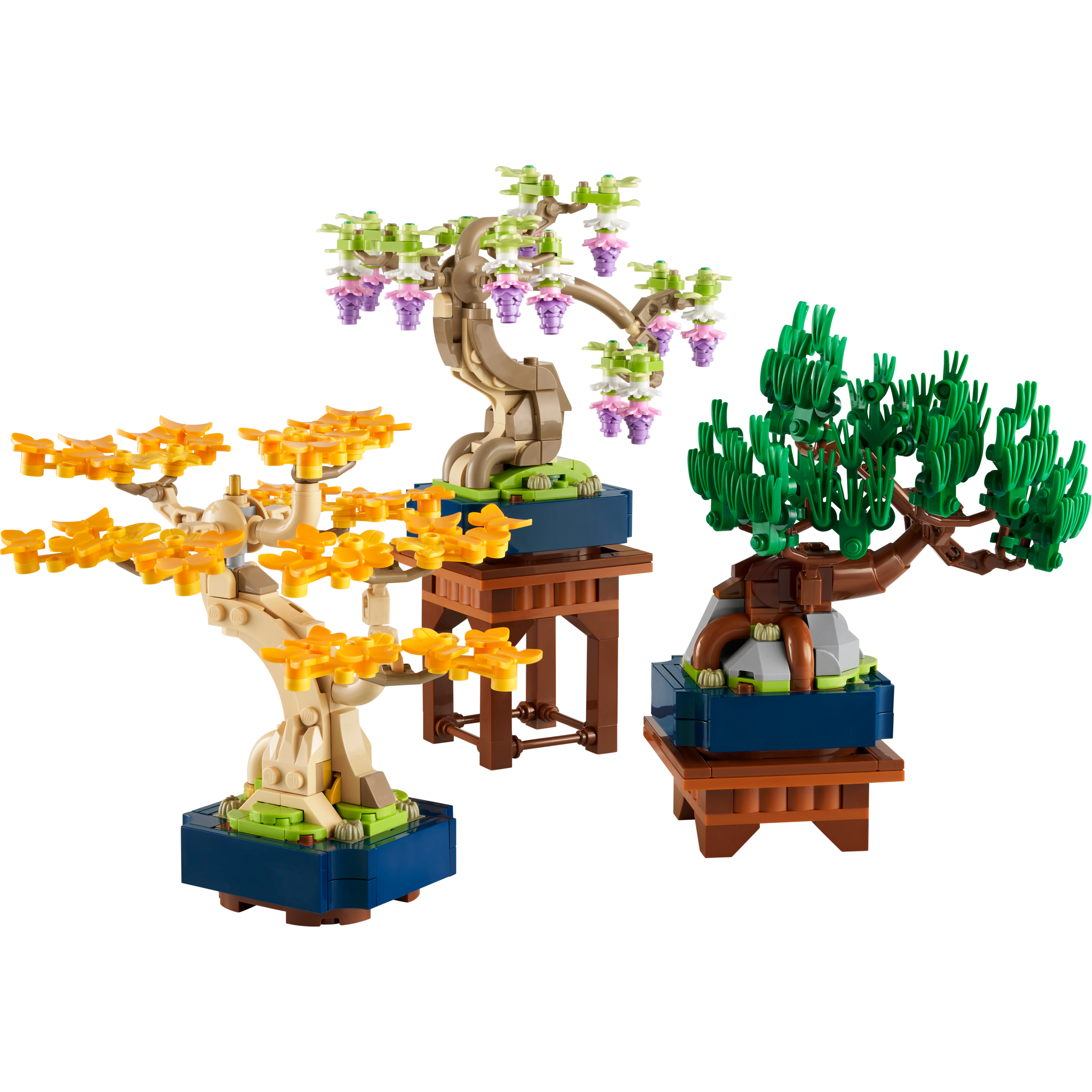 Mini Bonsai Trees