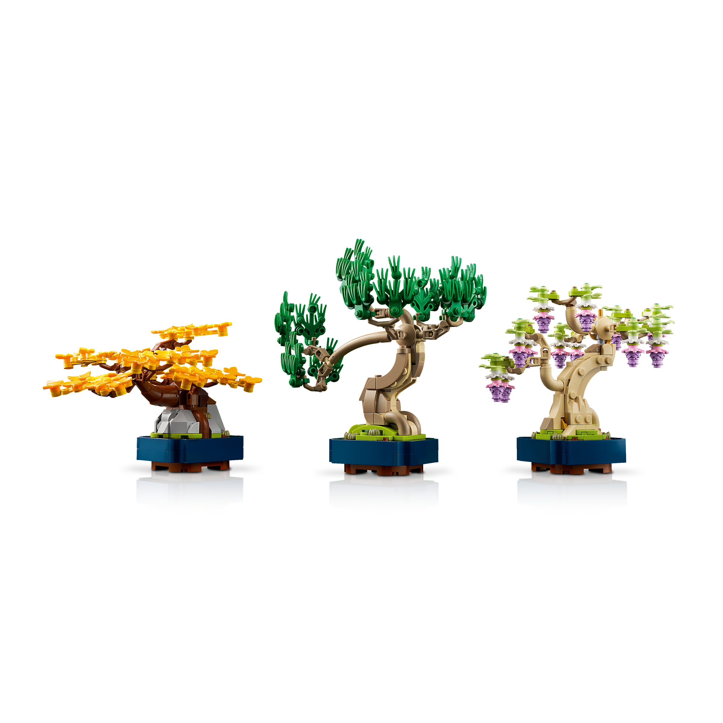 Mini Bonsai Trees - Image 6