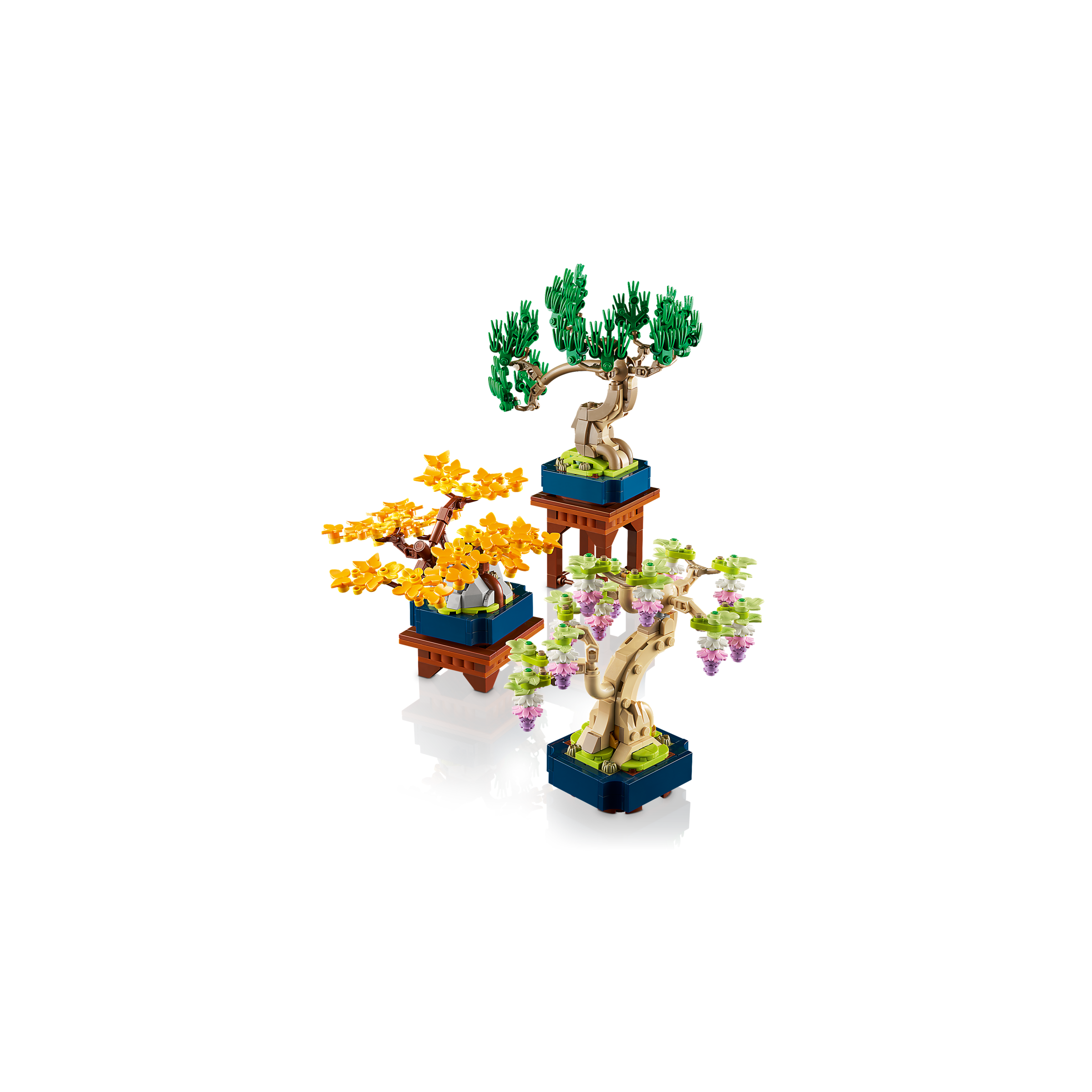 Mini Bonsai Trees - Image 8