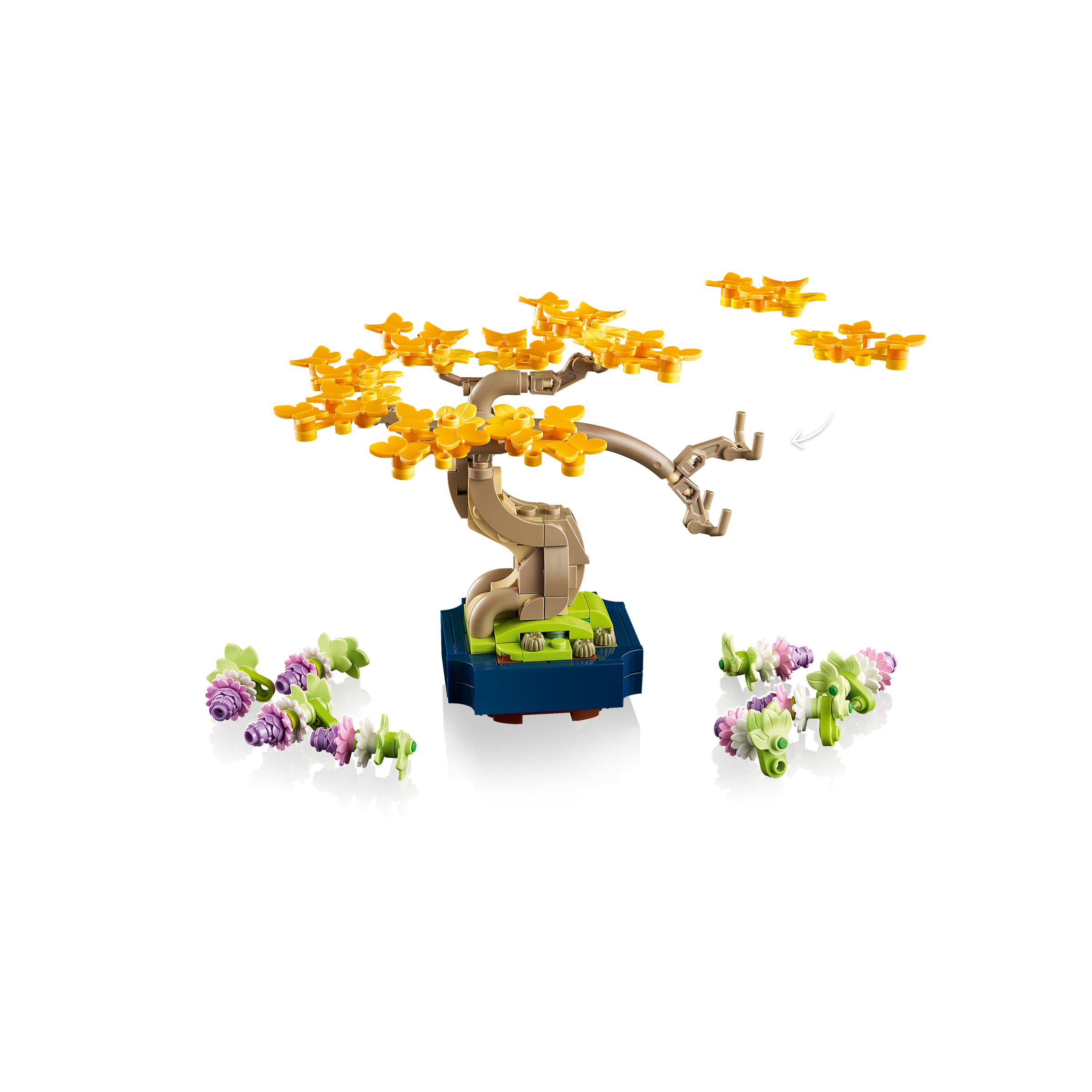 Mini Bonsai Trees - Image 7