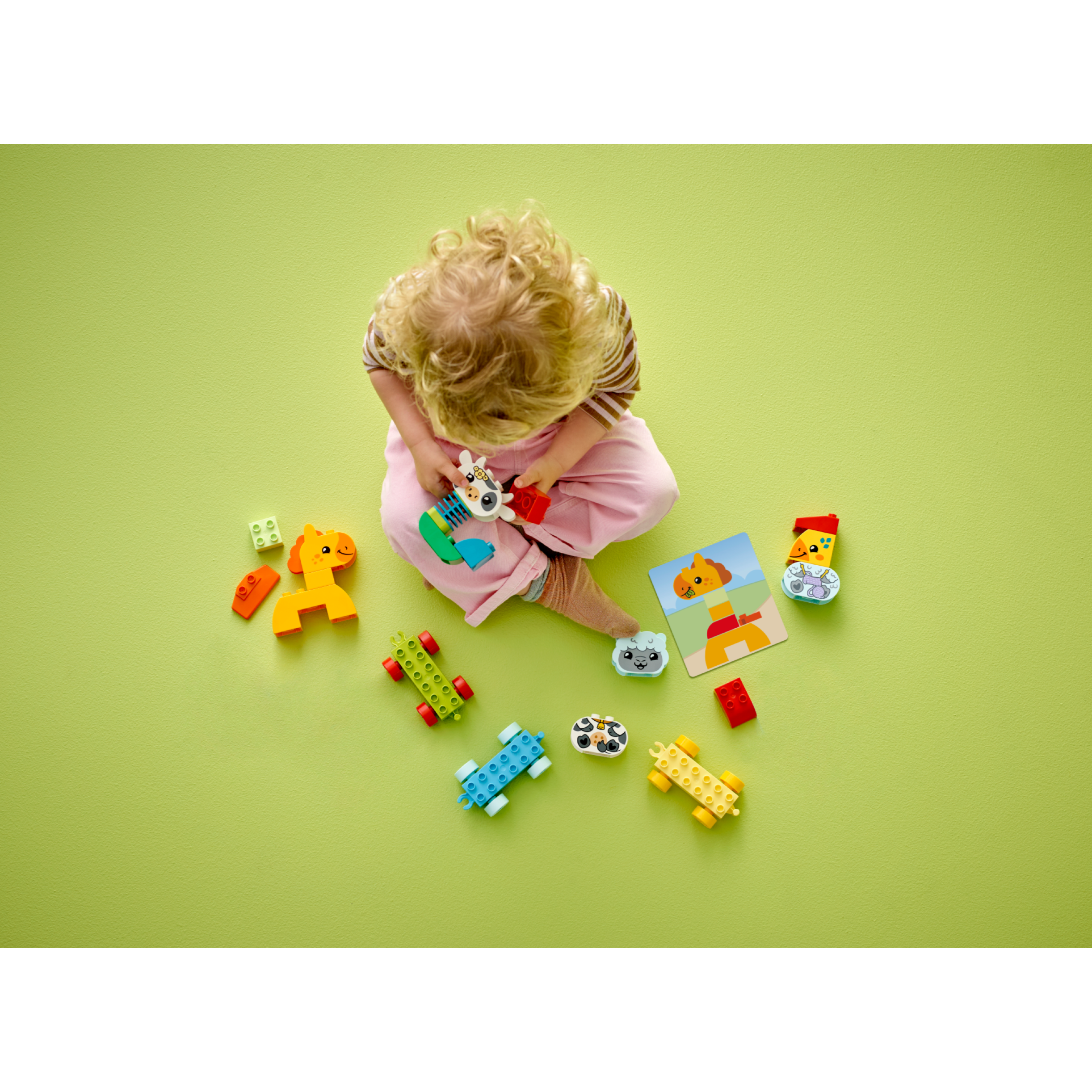 Animal Train - Image 6