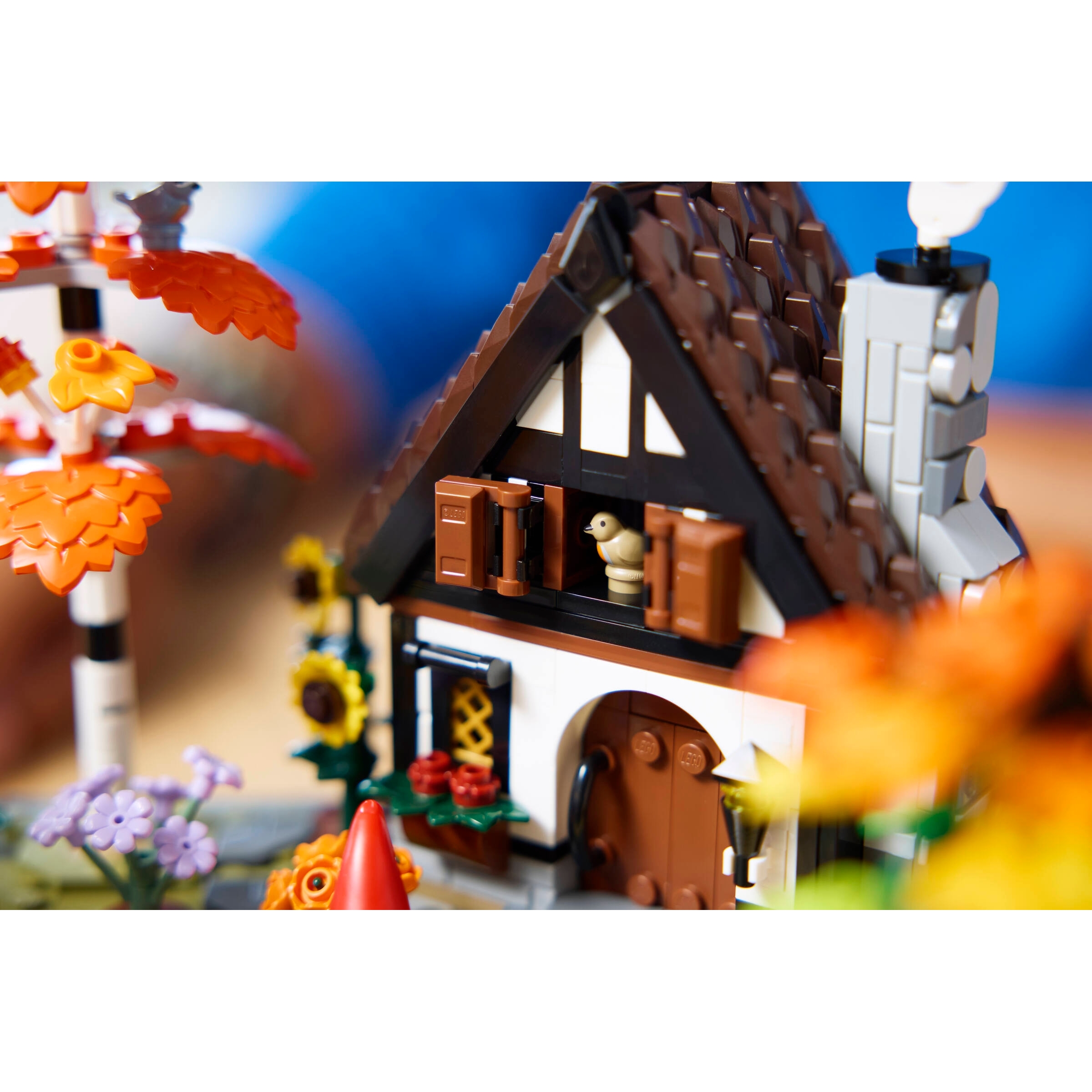 Autumn Cottage Garden - Image 13