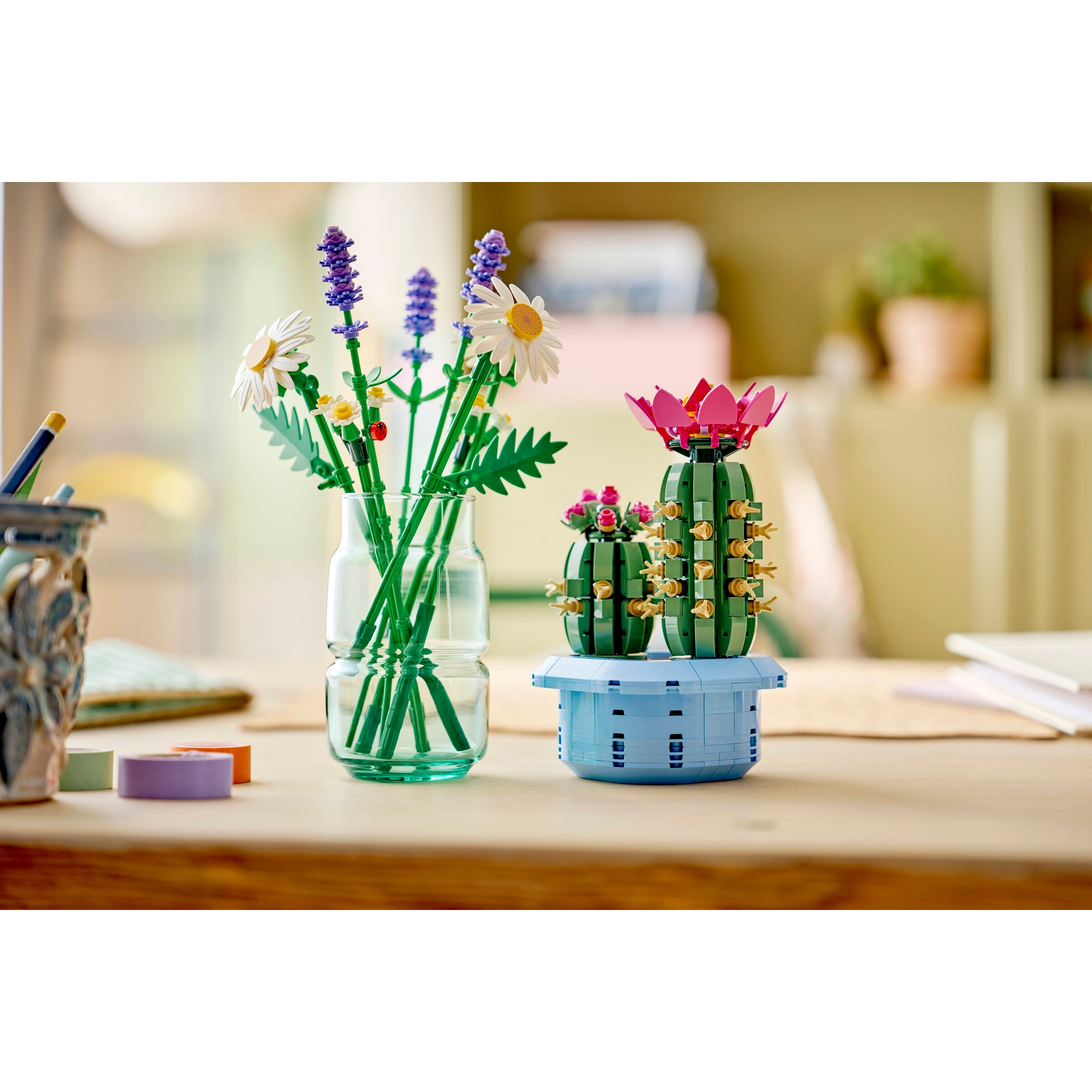 Flowering Cactus - Image 9