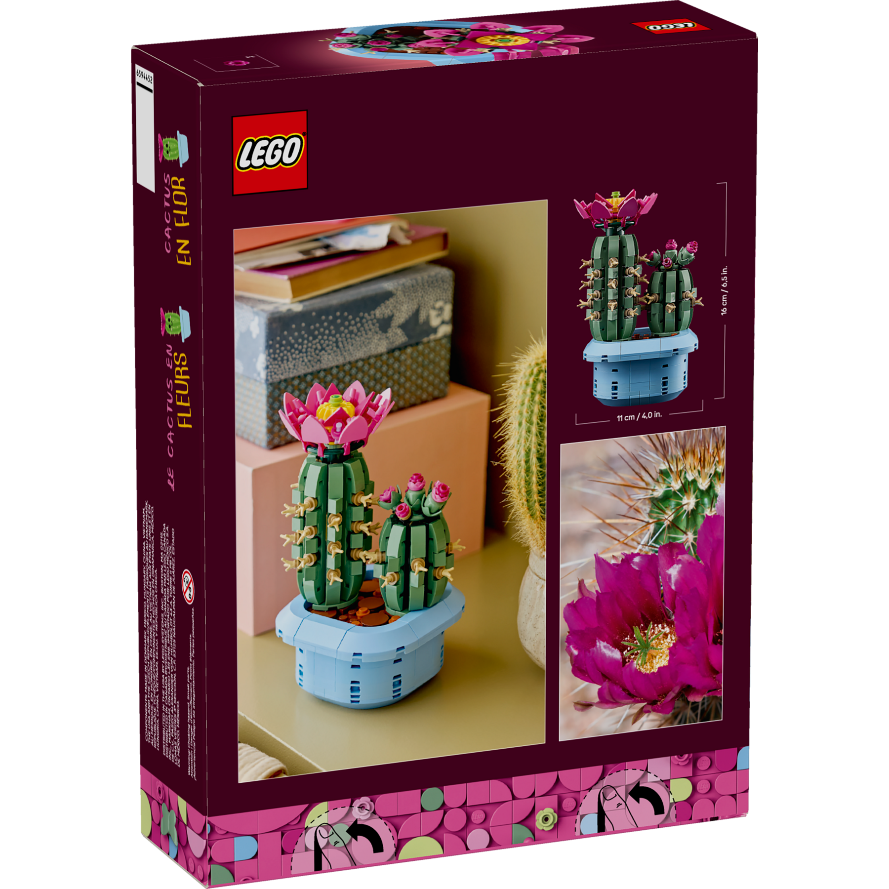Flowering Cactus - Image 11