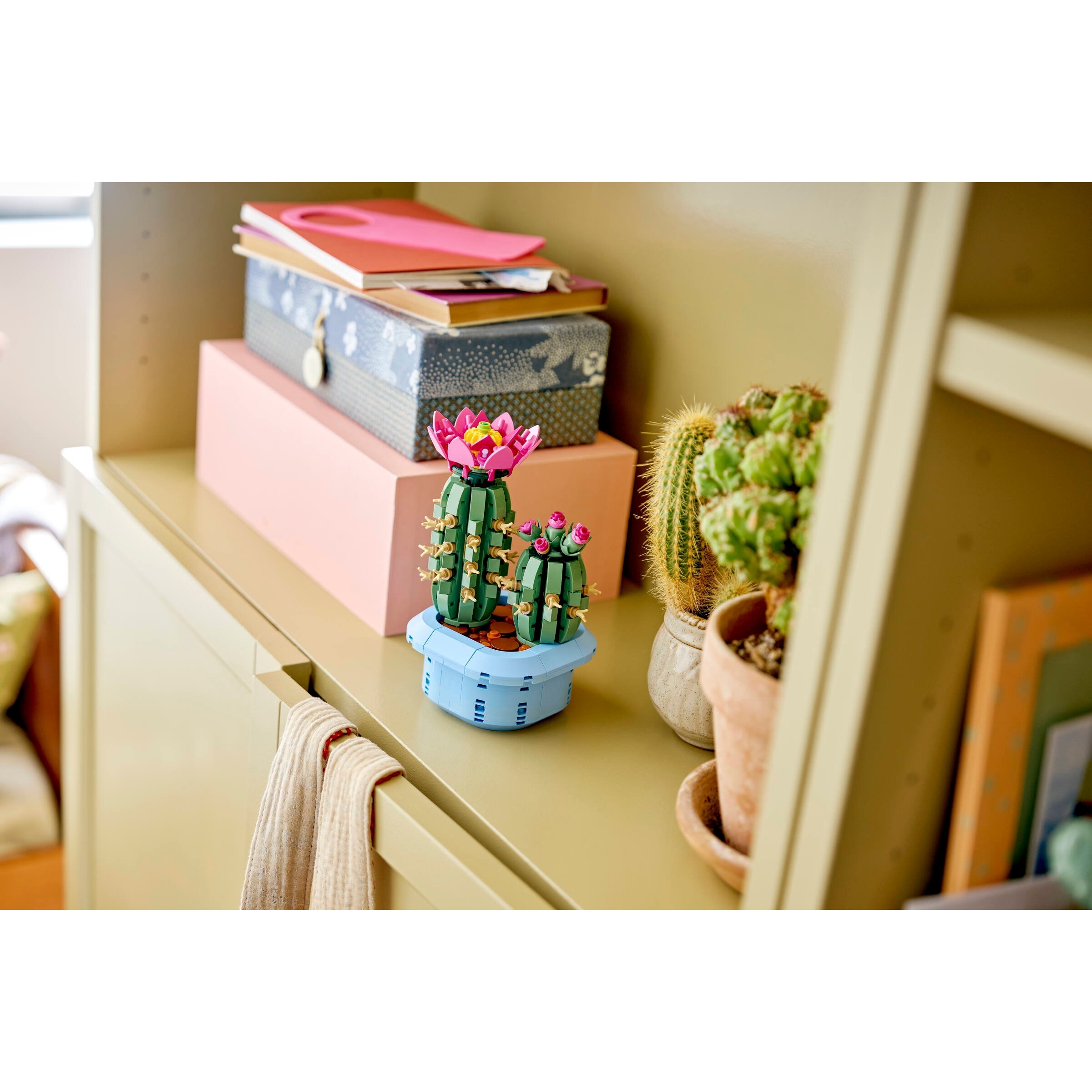 Flowering Cactus - Image 3