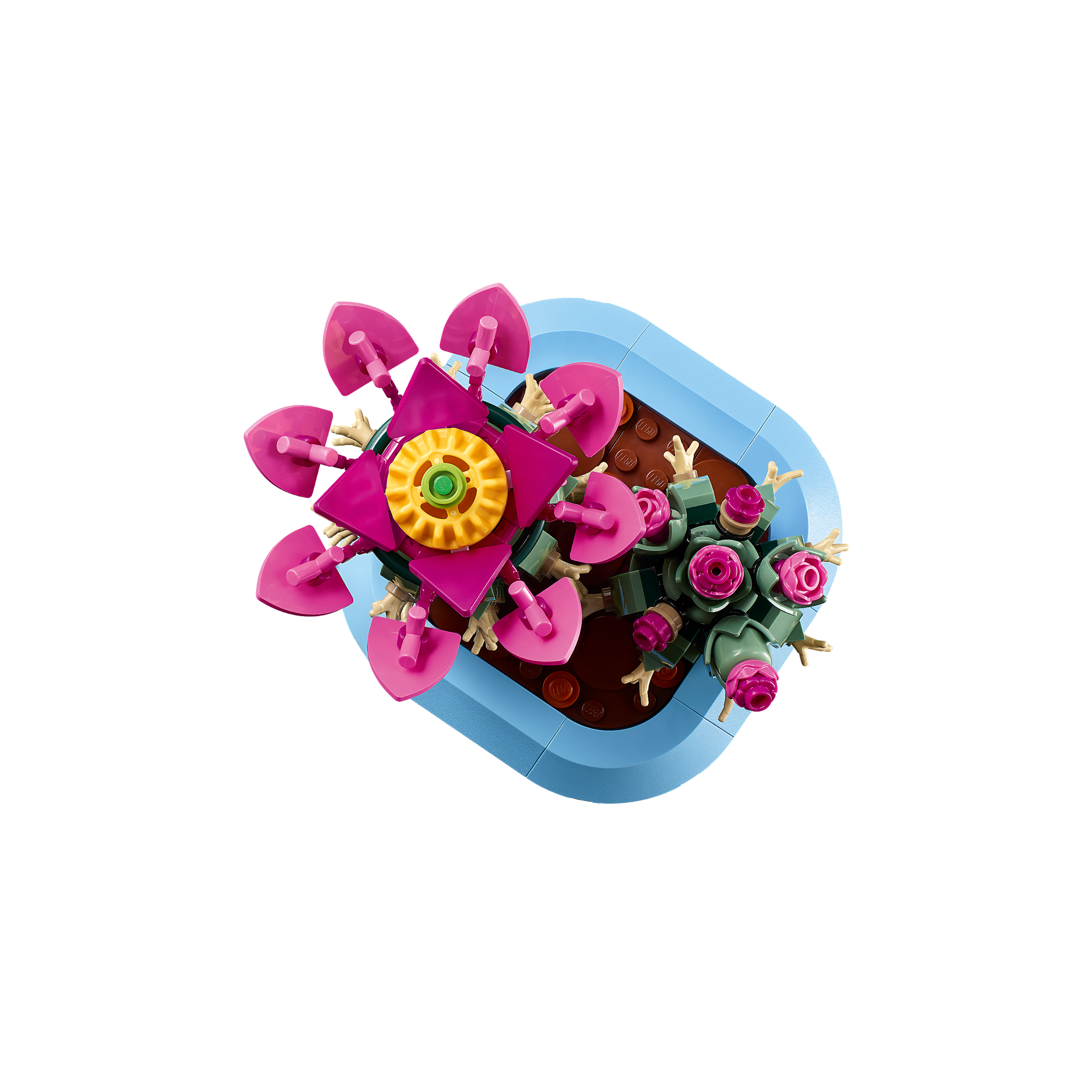 Flowering Cactus - Image 4