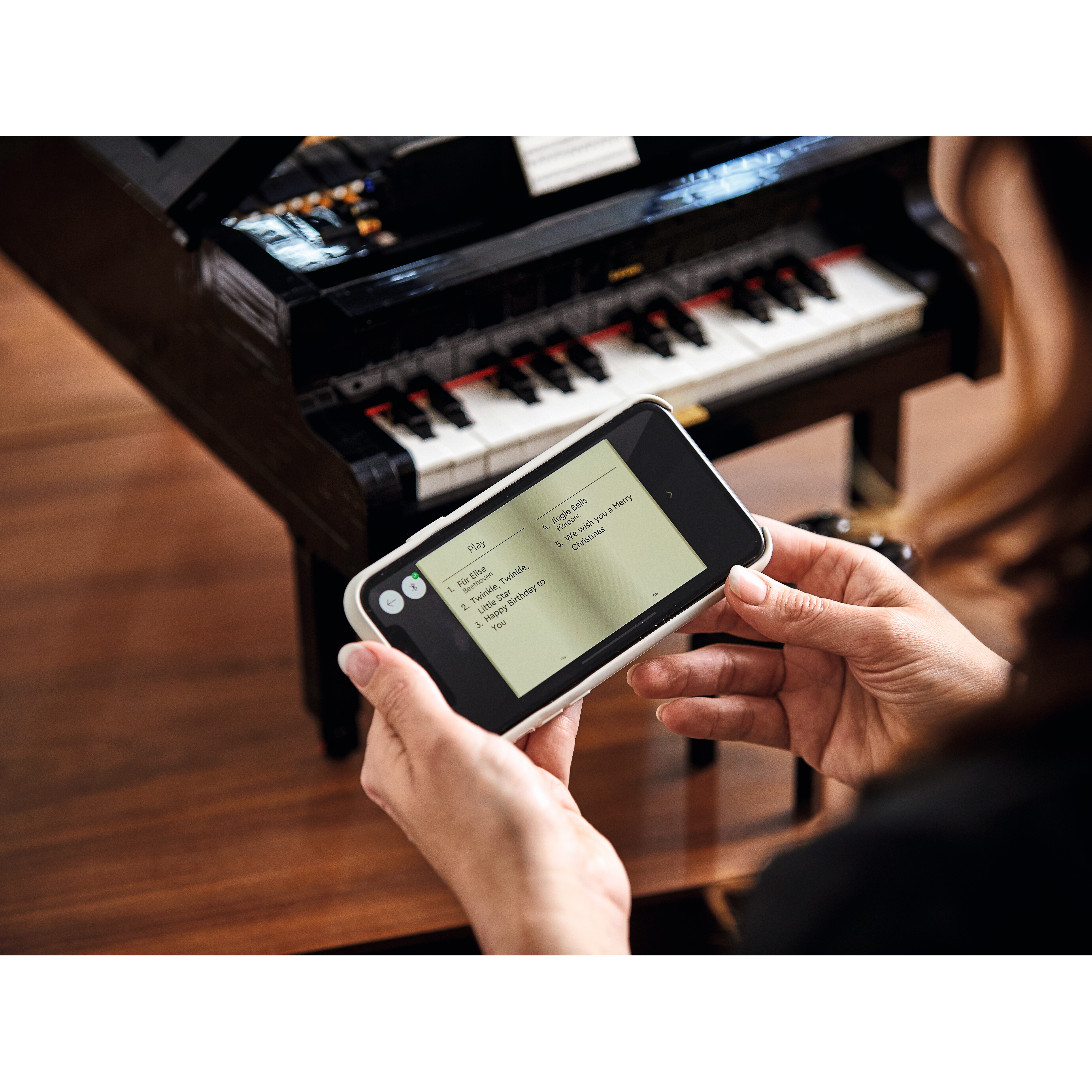 Grand Piano - Image 26
