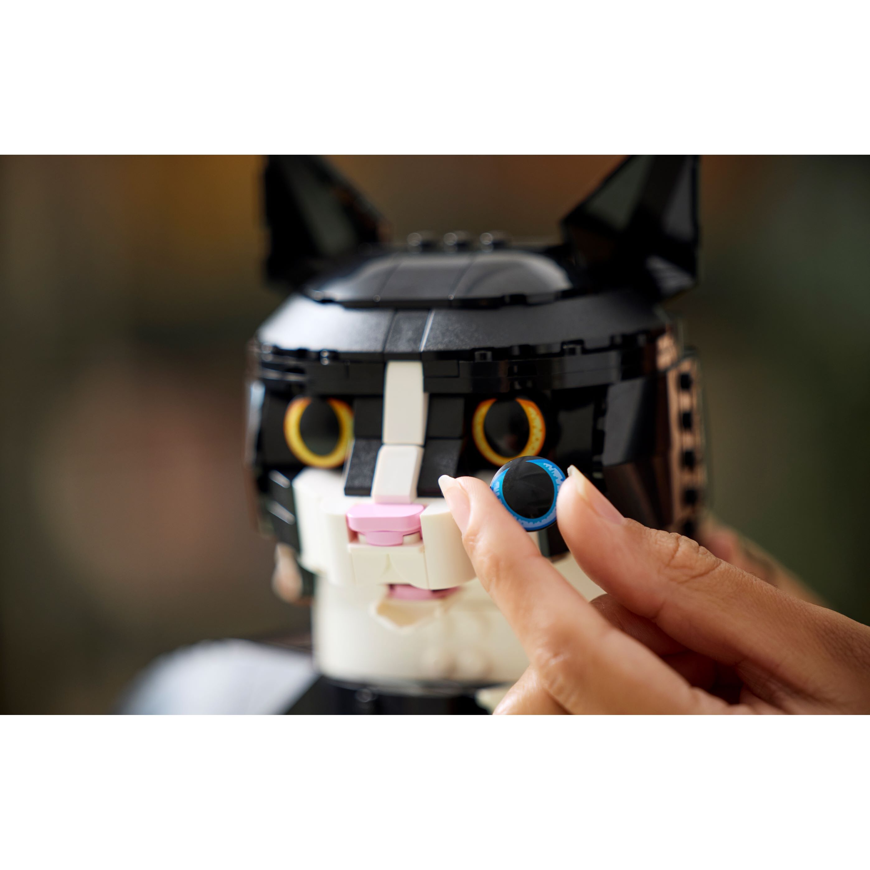 Tuxedo Cat - Image 7