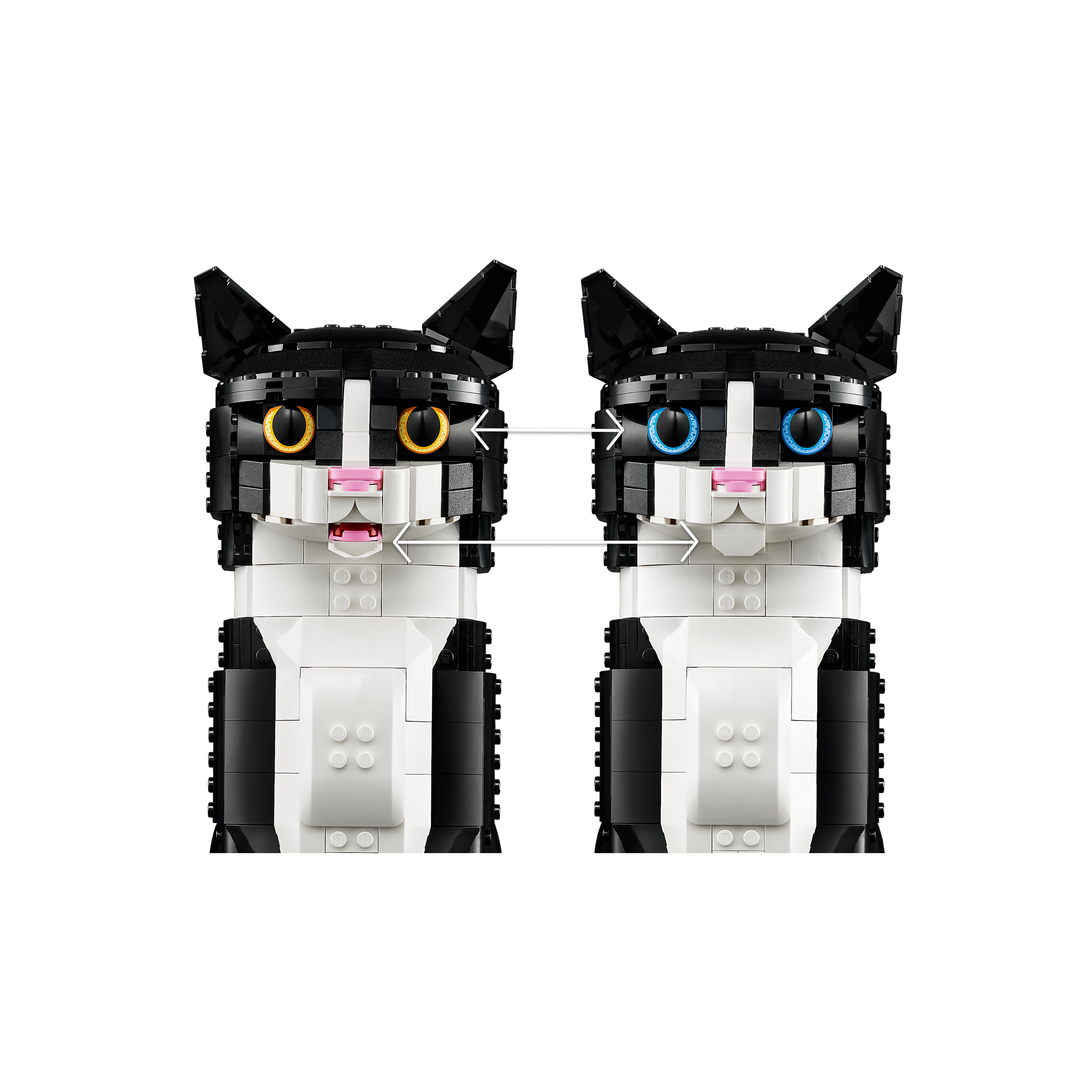 Tuxedo Cat - Image 5