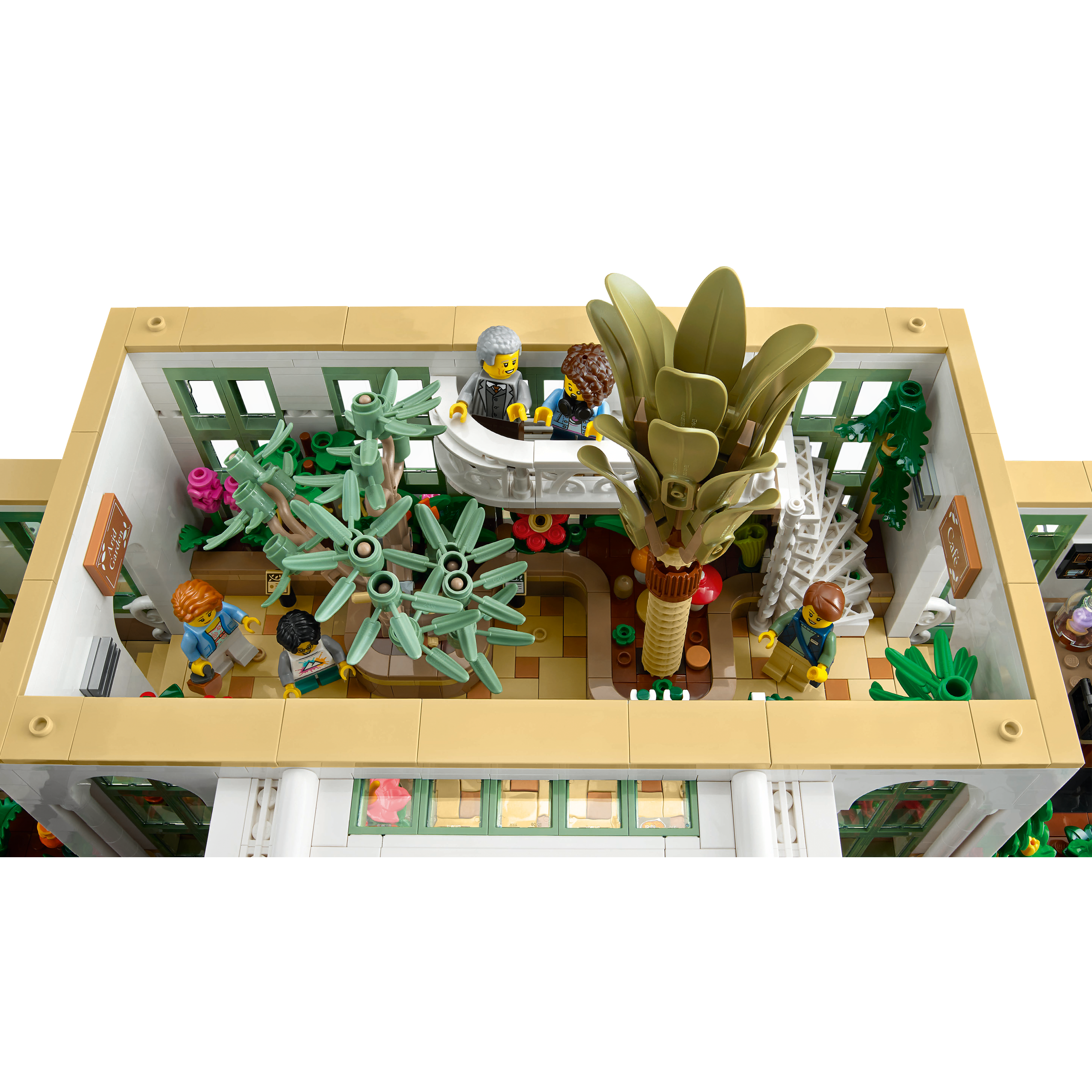 The Botanical Garden - Image 6