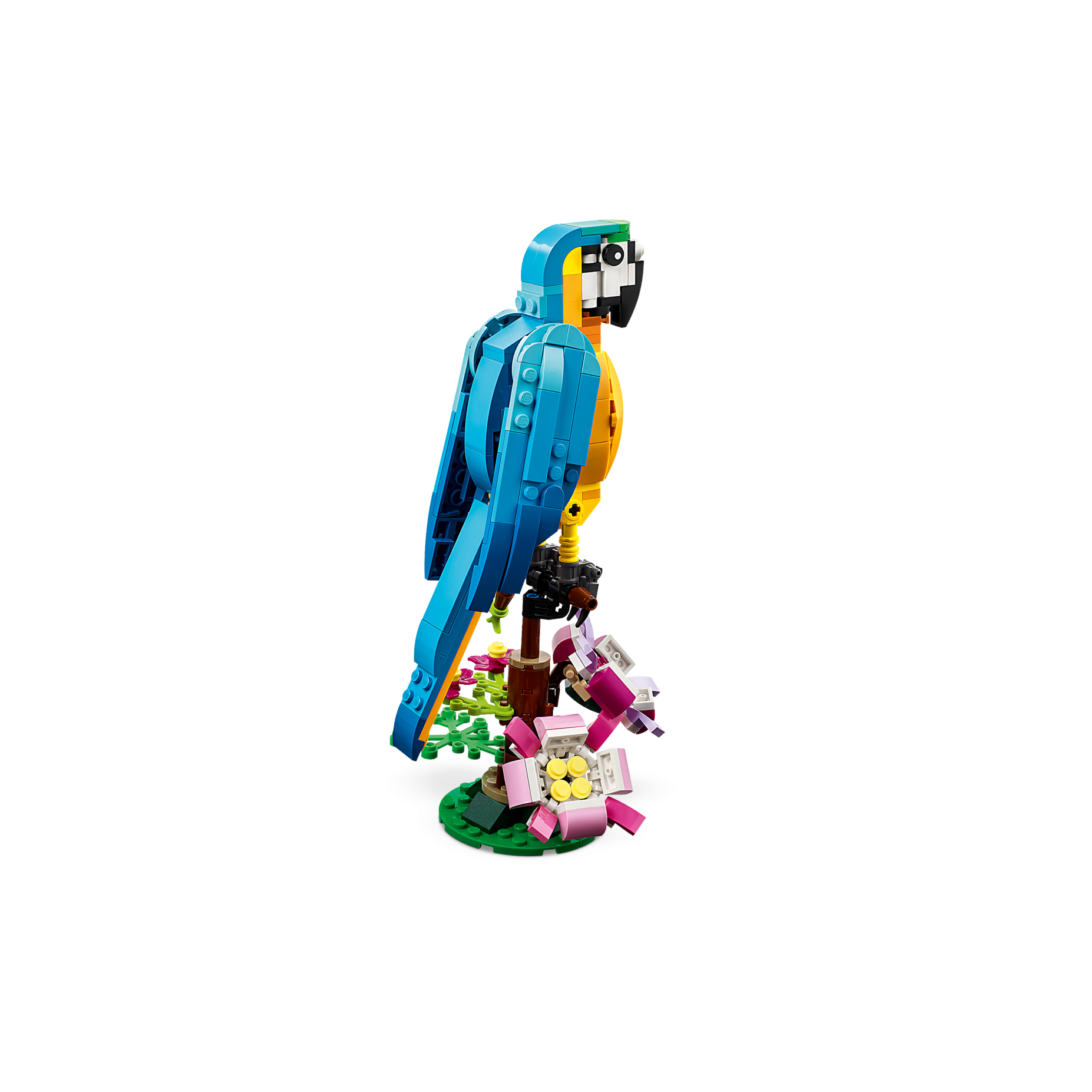 Exotic Parrot - Image 3