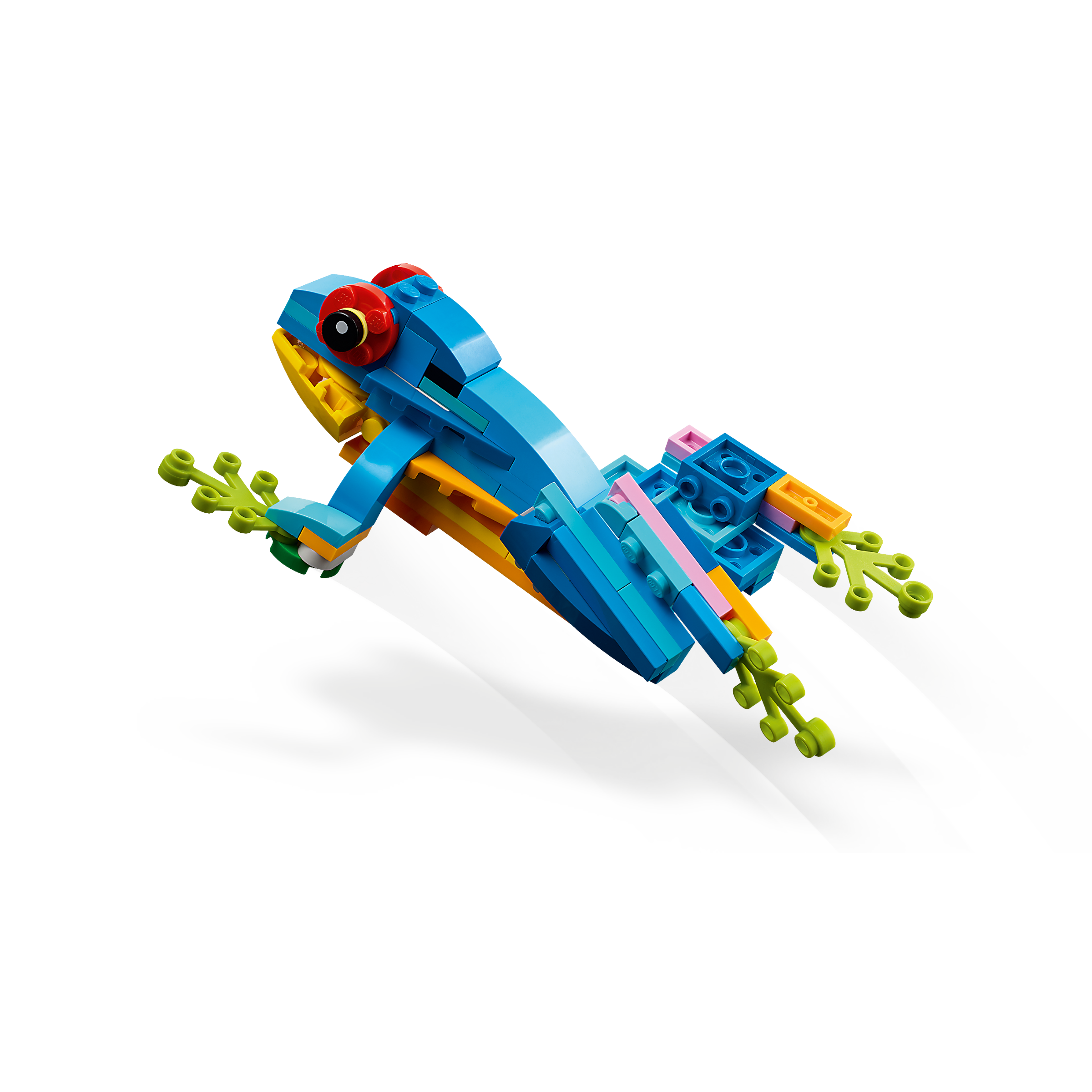Exotic Parrot - Image 5