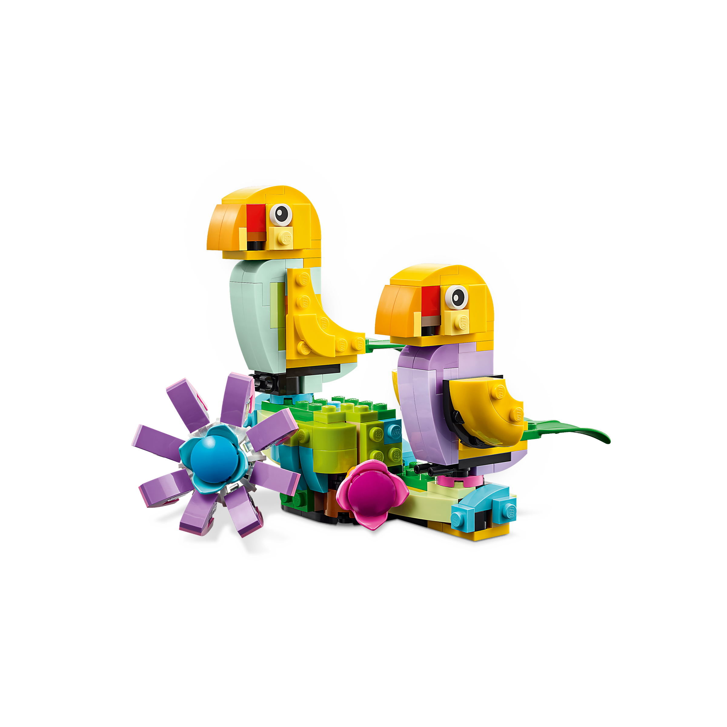 Flowers In Watering Can - Image 4