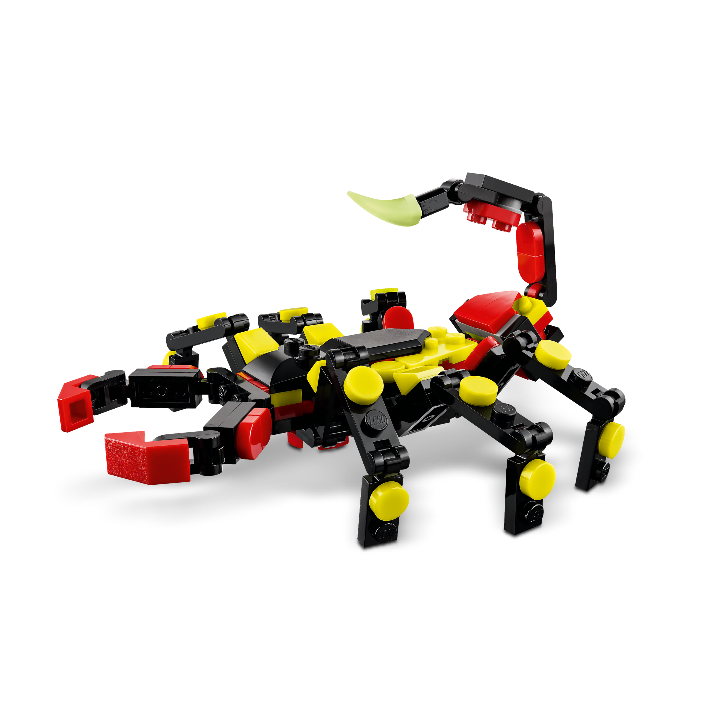 Wild Animals: Surprising Spider - Image 8