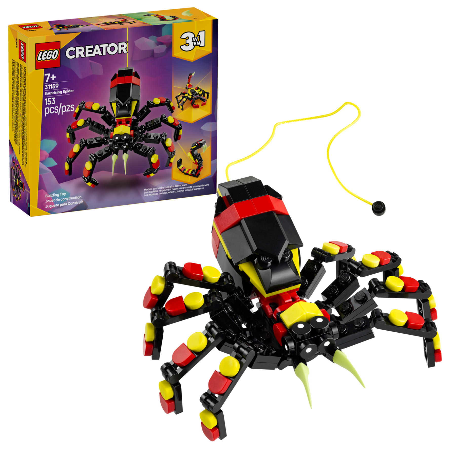 Wild Animals: Surprising Spider - Image 2