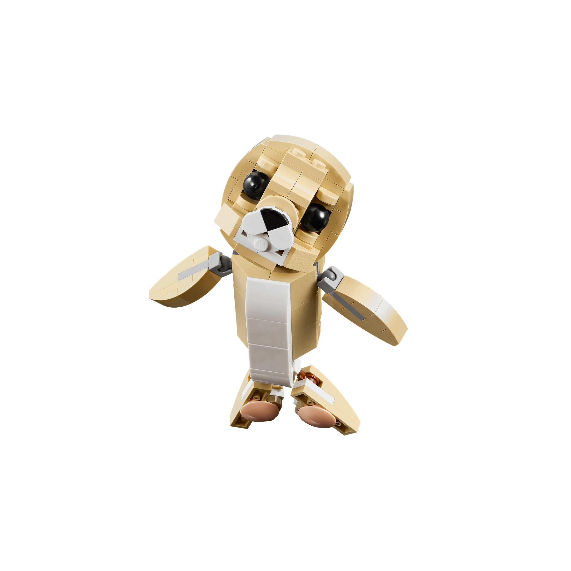 Cute Bunny - Image 7