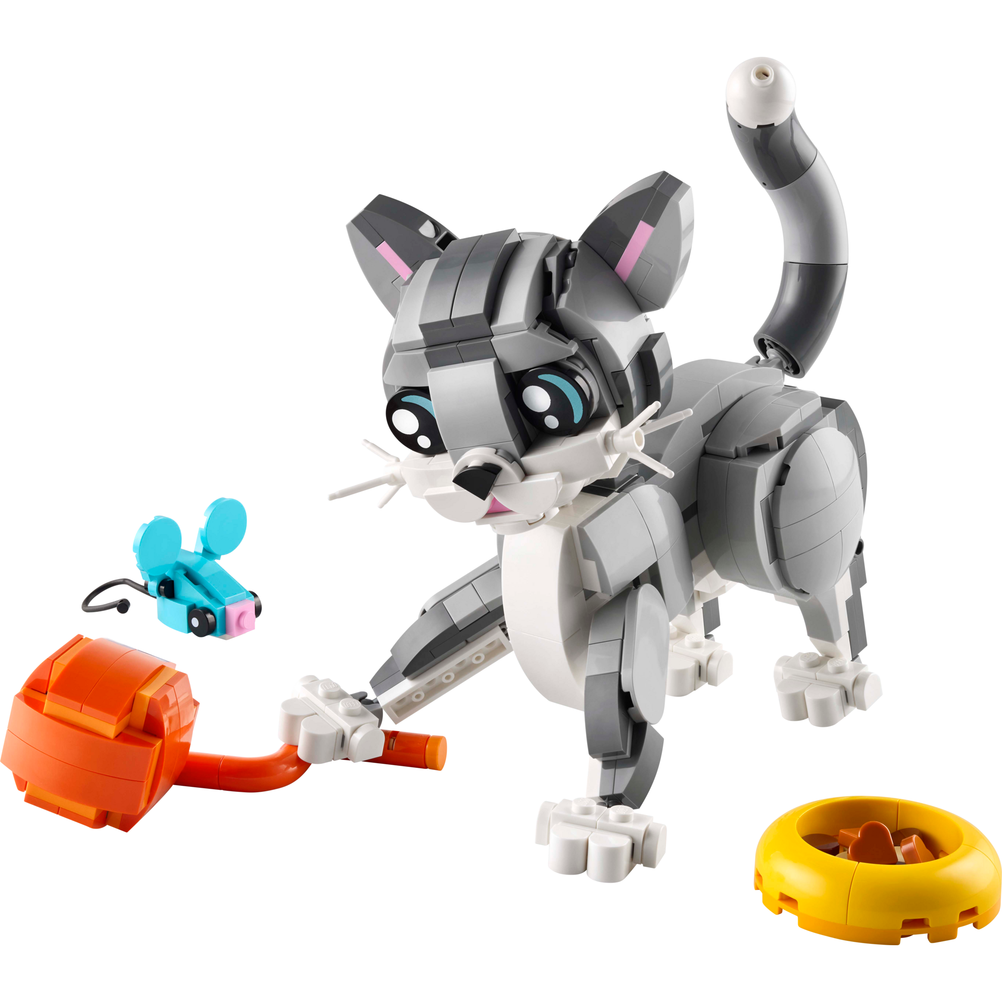 Playful Cat