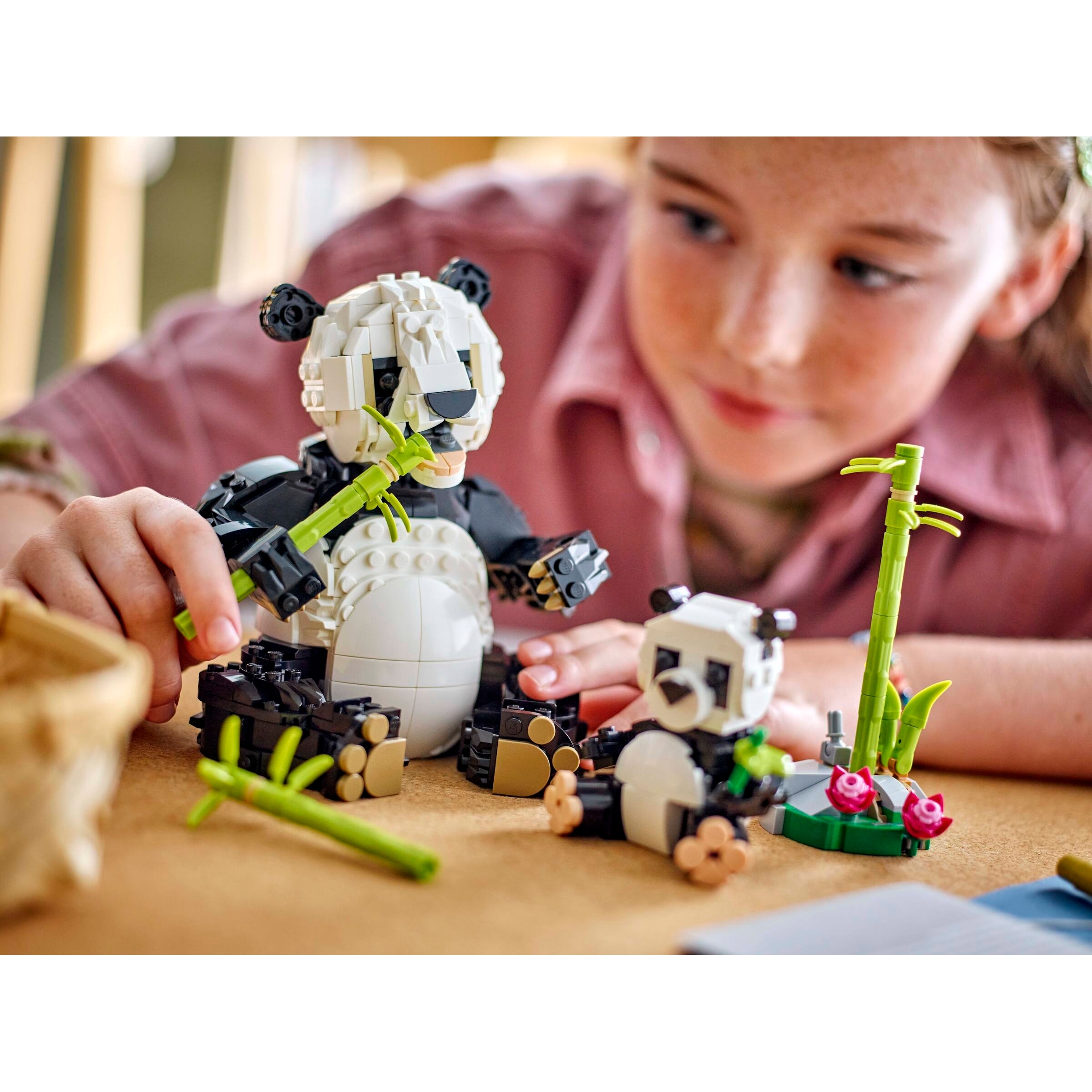 Wild Animals: Panda Family - Image 6