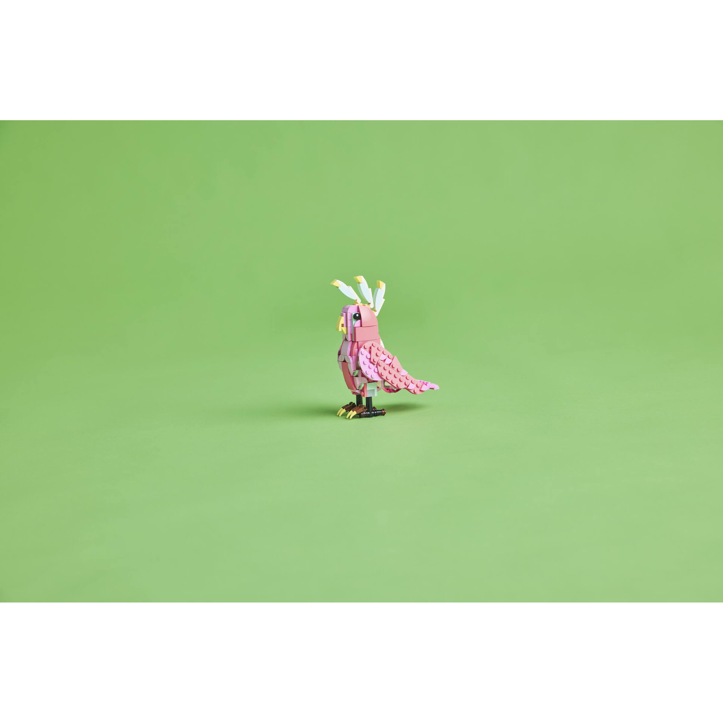 Wild Animals: Pink Flamingo - Image 10