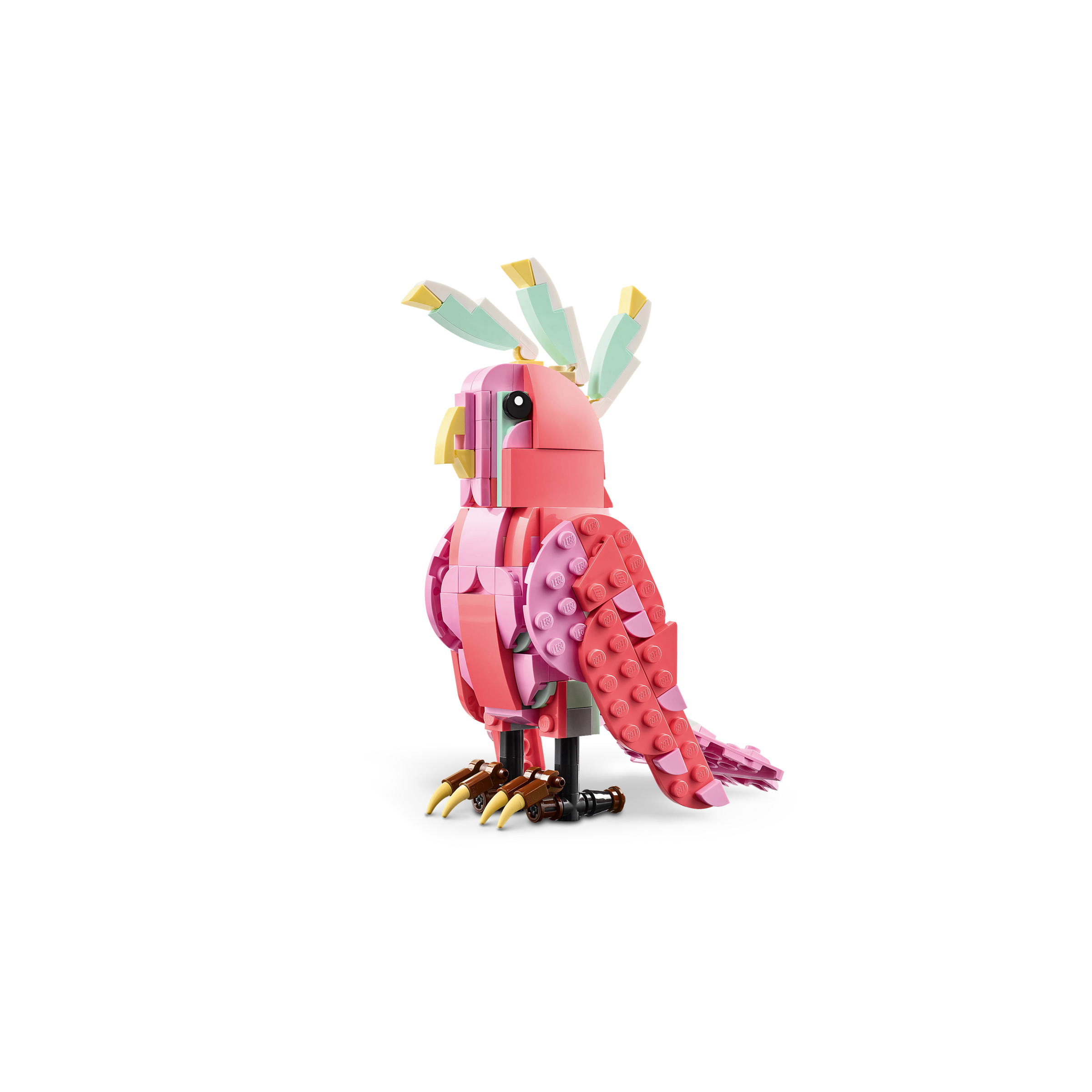 Wild Animals: Pink Flamingo - Image 6