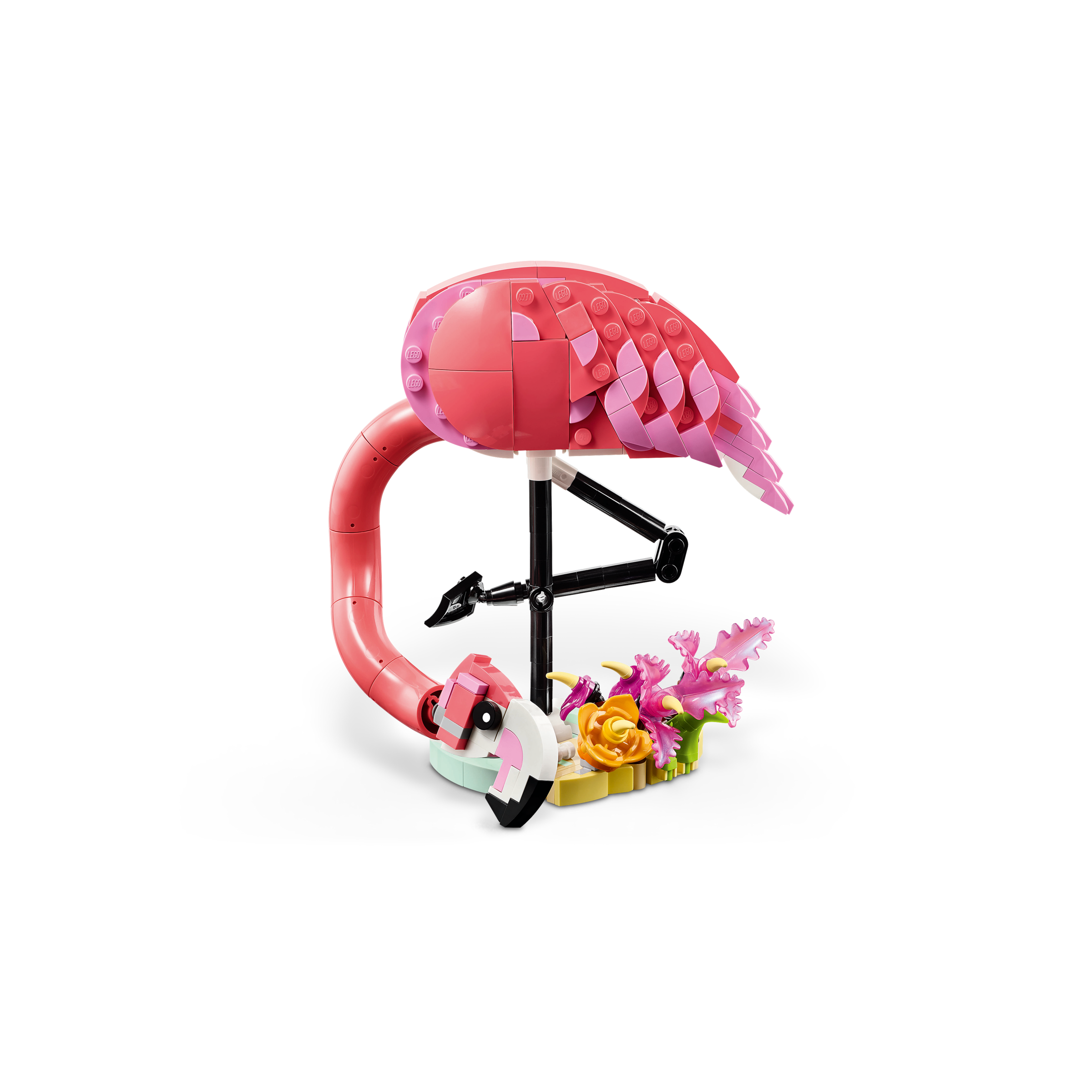Wild Animals: Pink Flamingo - Image 3