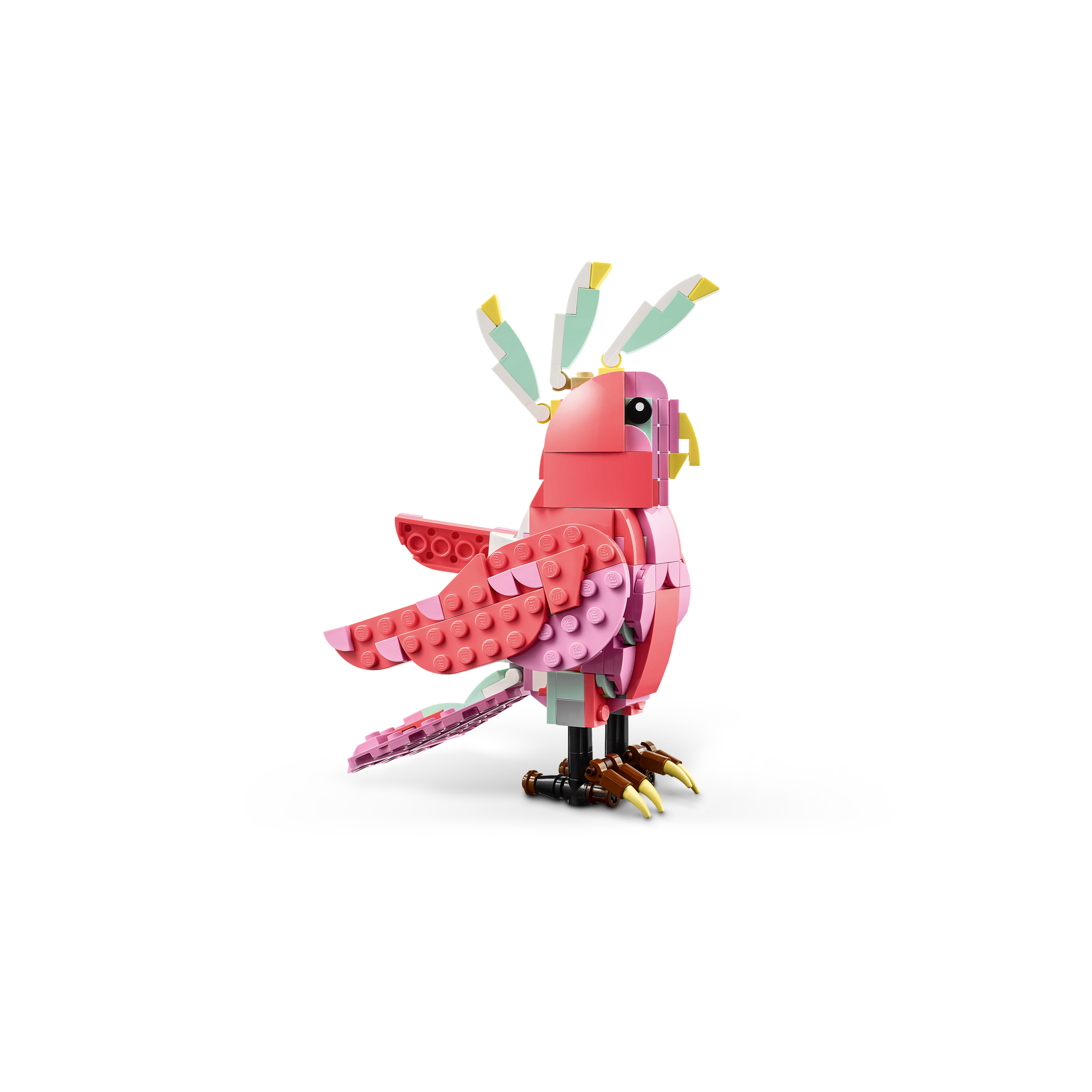 Wild Animals: Pink Flamingo - Image 7