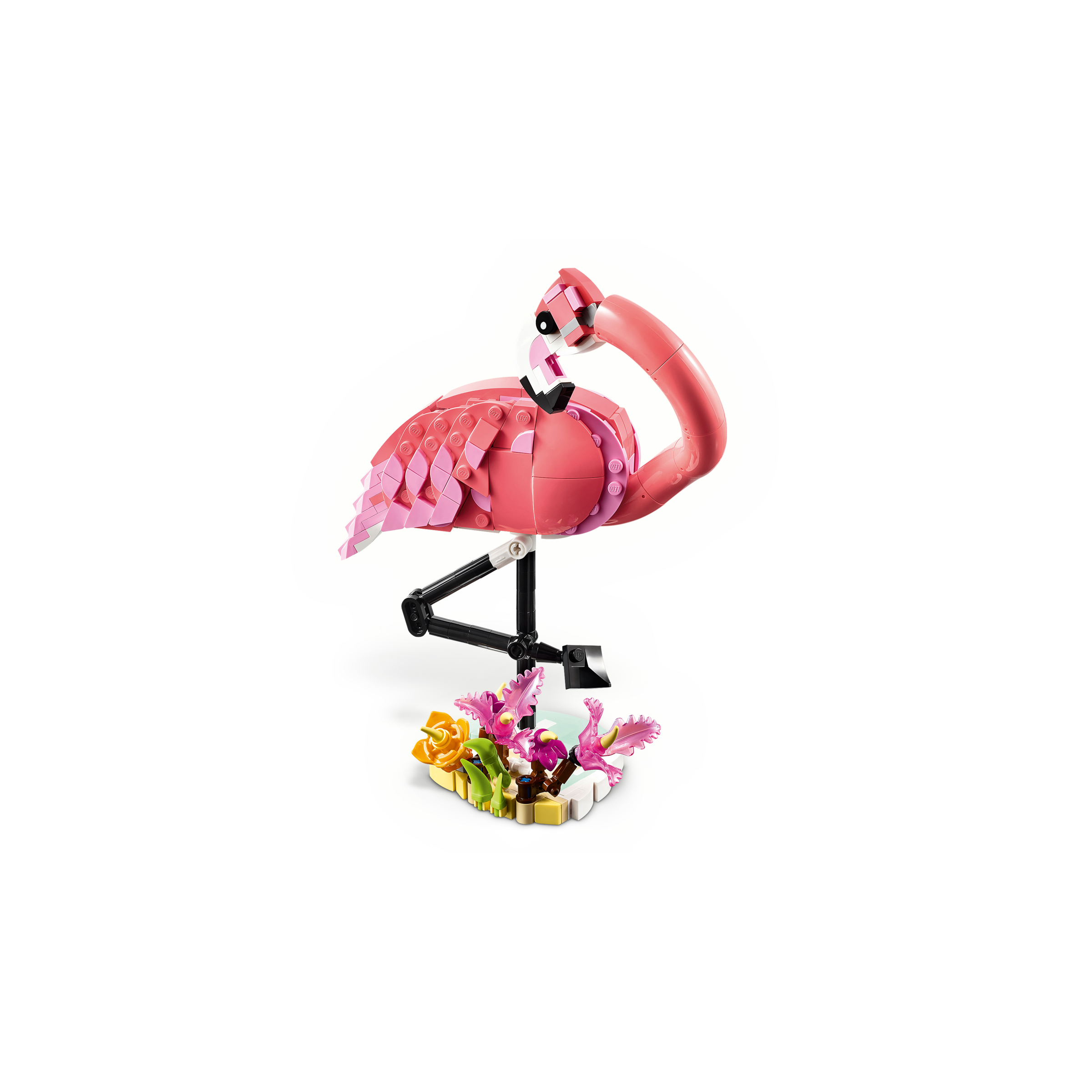 Wild Animals: Pink Flamingo - Image 4