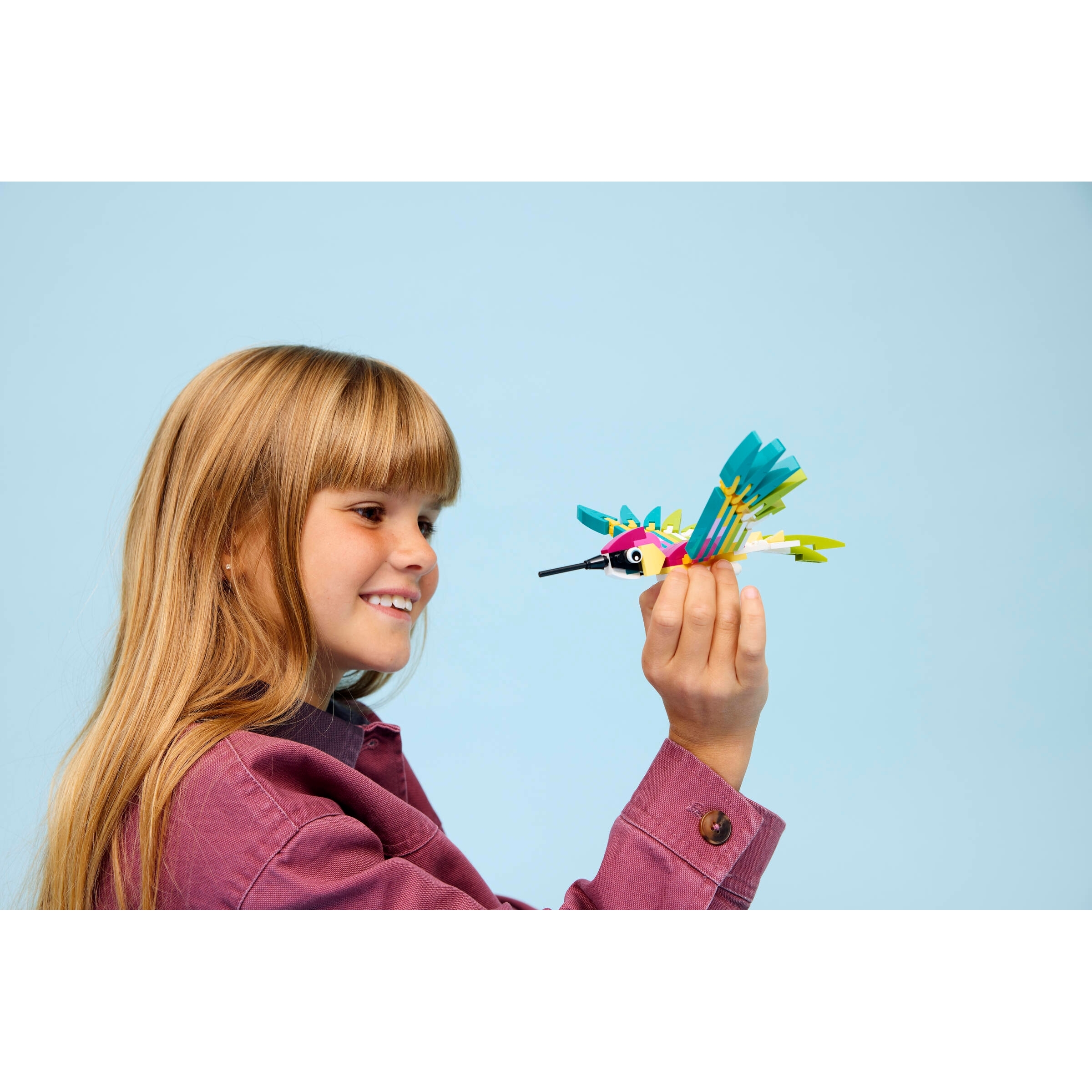 Wild Animals: Colorful Hummingbird - Image 7