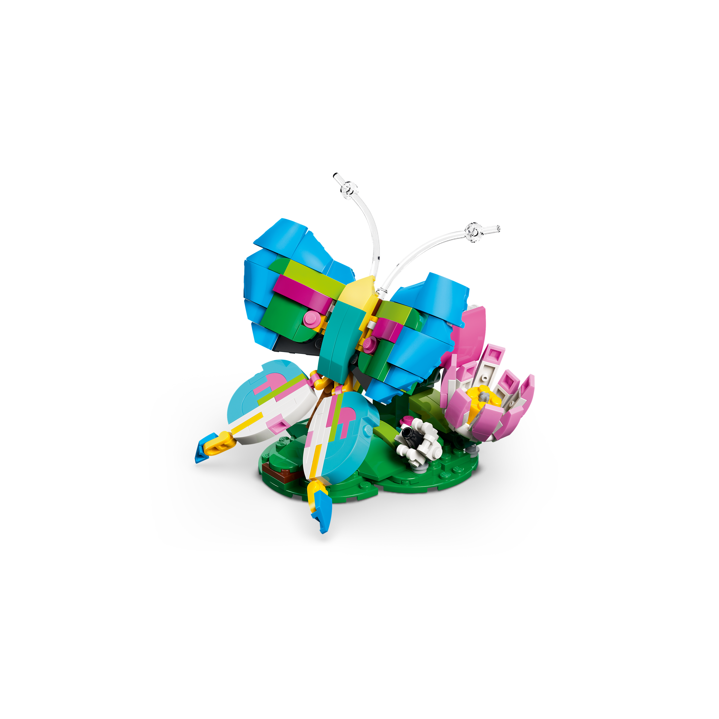 Wild Animals: Colorful Hummingbird - Image 3