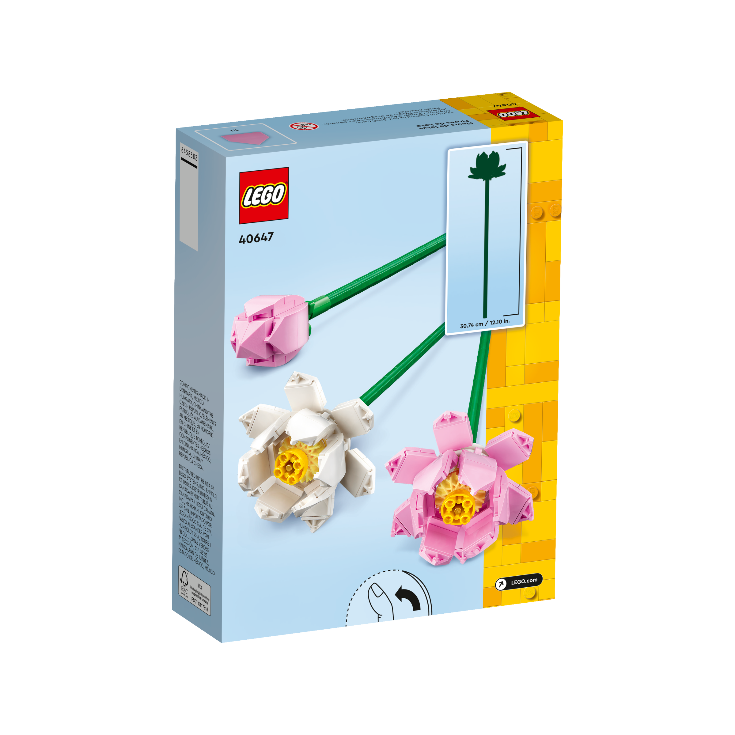Lotus Flowers - Image 3